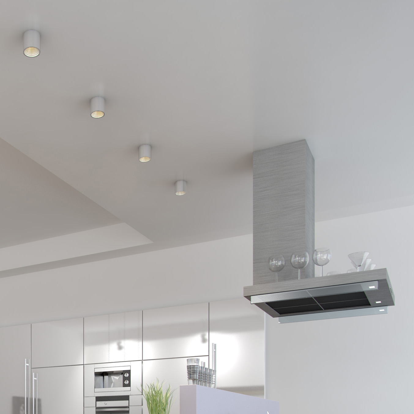 SURFACE MOUNT DOWNLIGHT