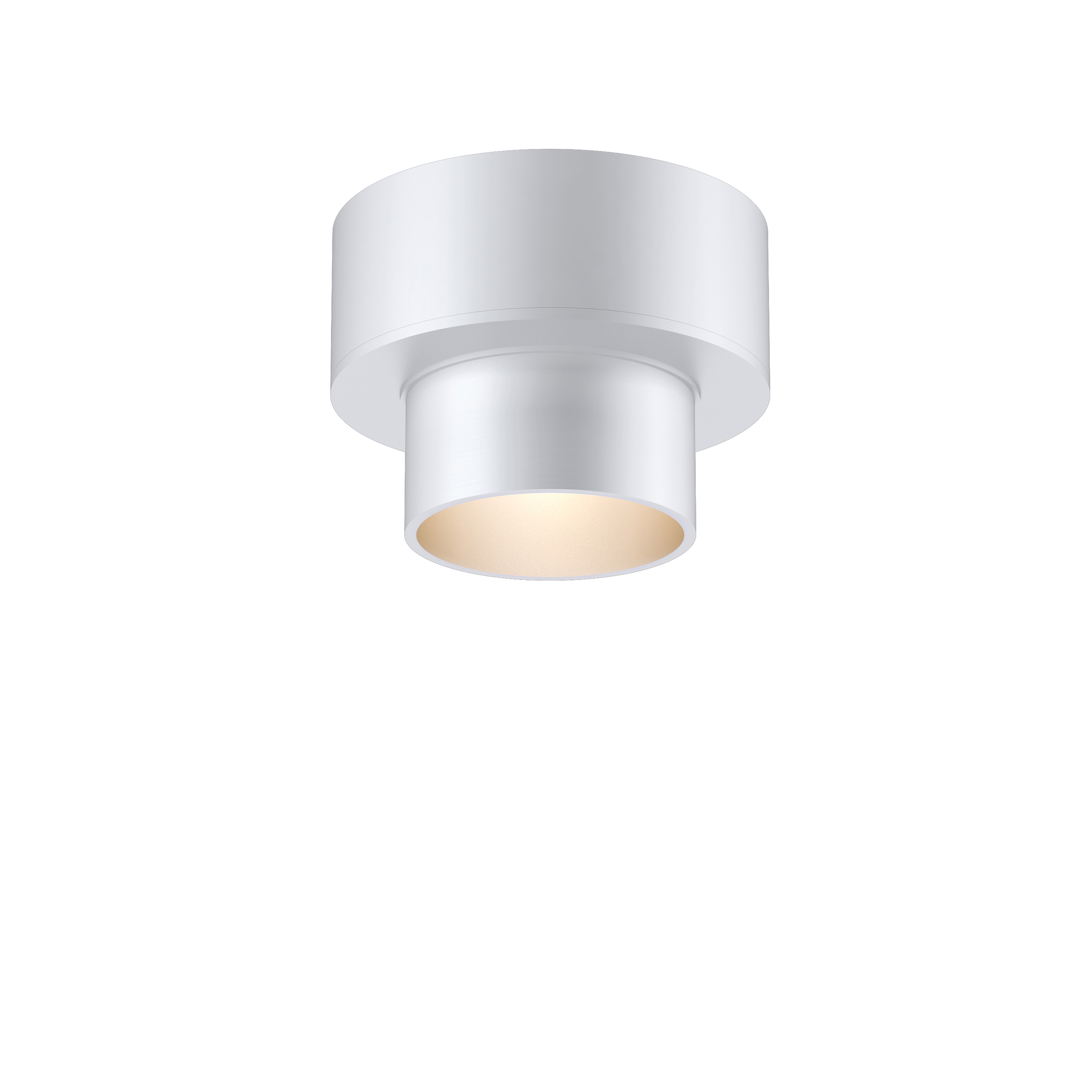 Vertoon produk L51 NLFS | matte clear anodized van vervaardiger MP Lighting