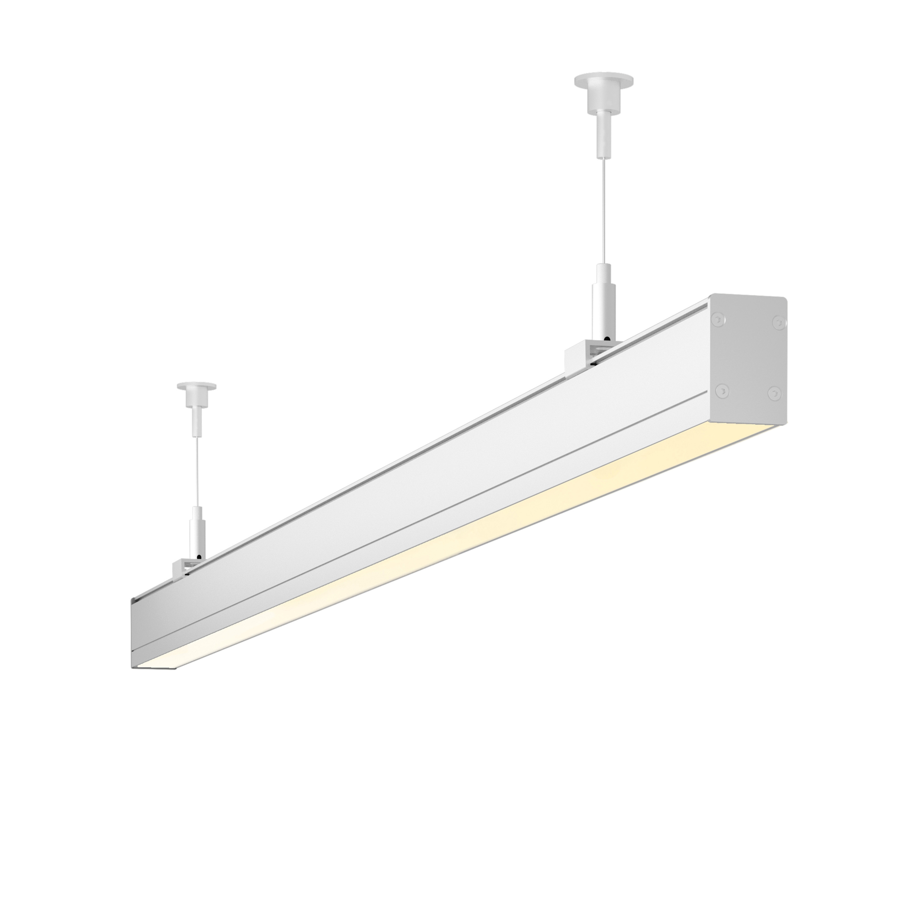 Vertoon produk L103 Suspension | matte clear anodized van vervaardiger MP Lighting