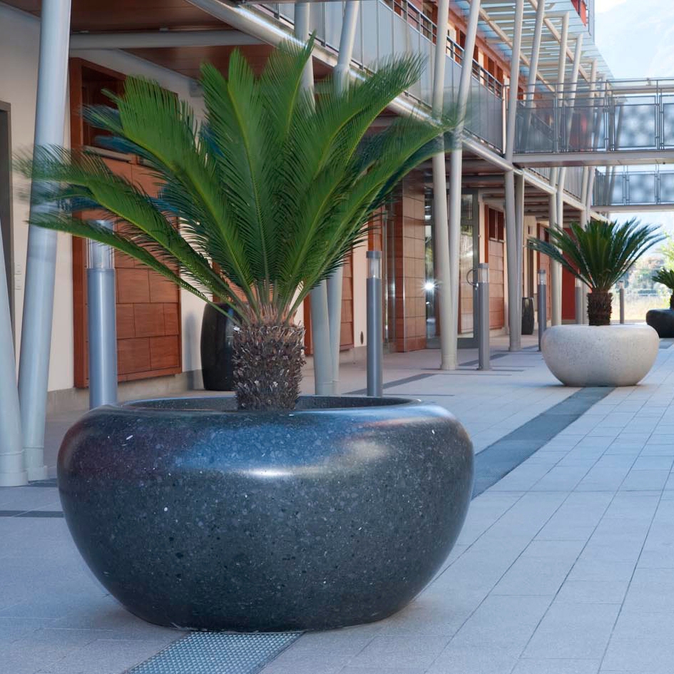 Produkt Planets | Venere Planter des Herstellers Bellitalia anzeigen