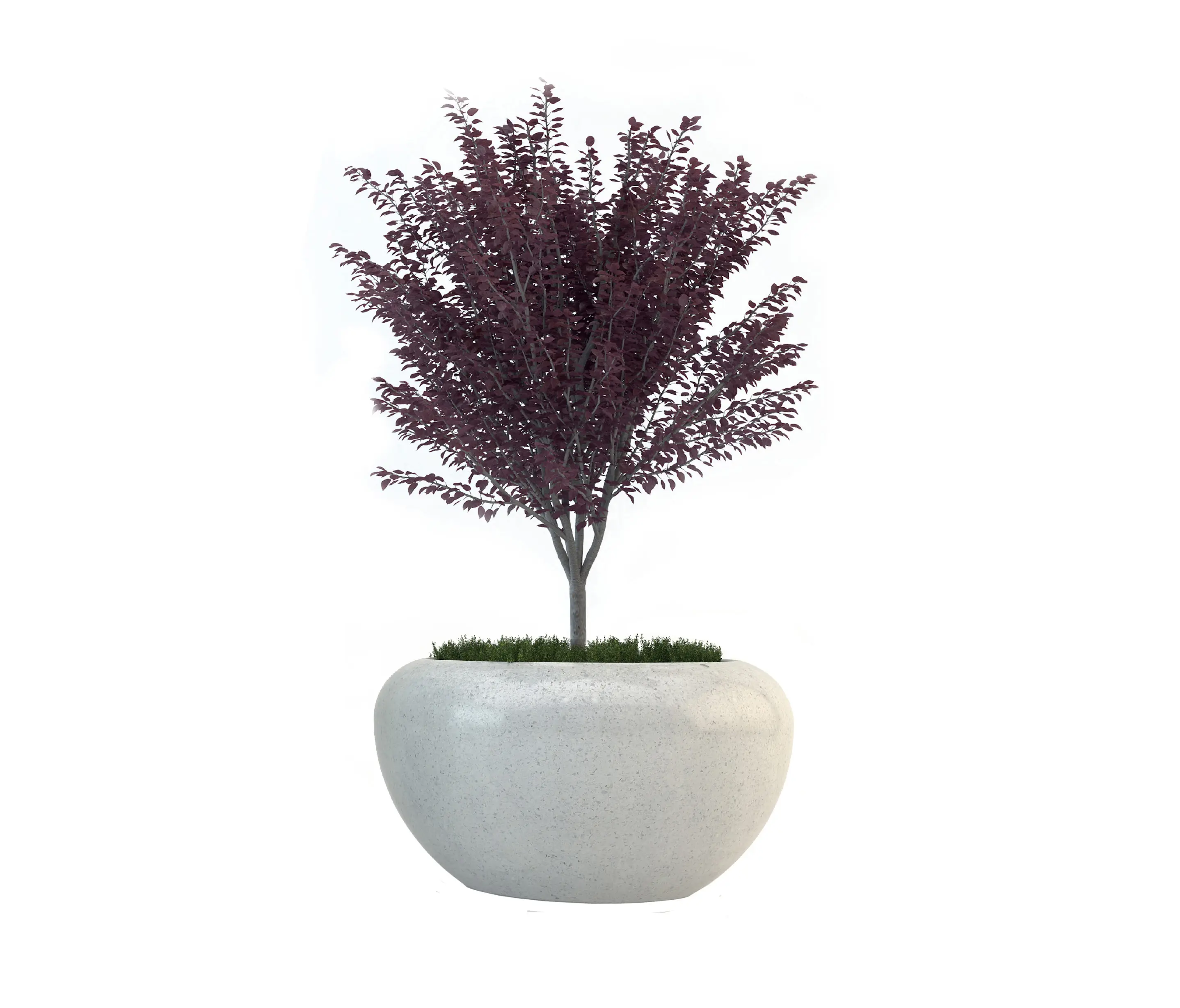 Bellitalia - Planets | Marte Planter