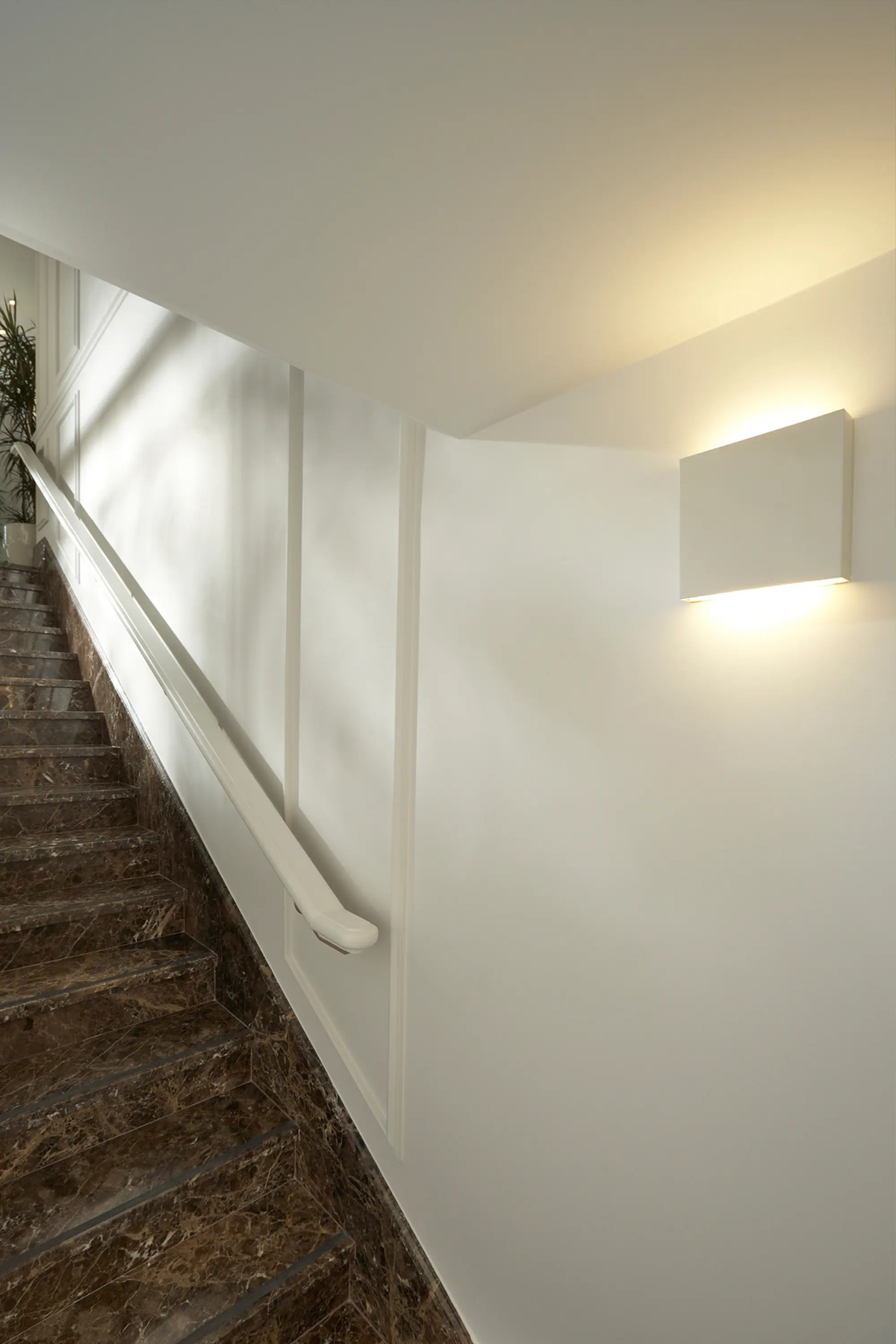 O/M Light - Barcelos