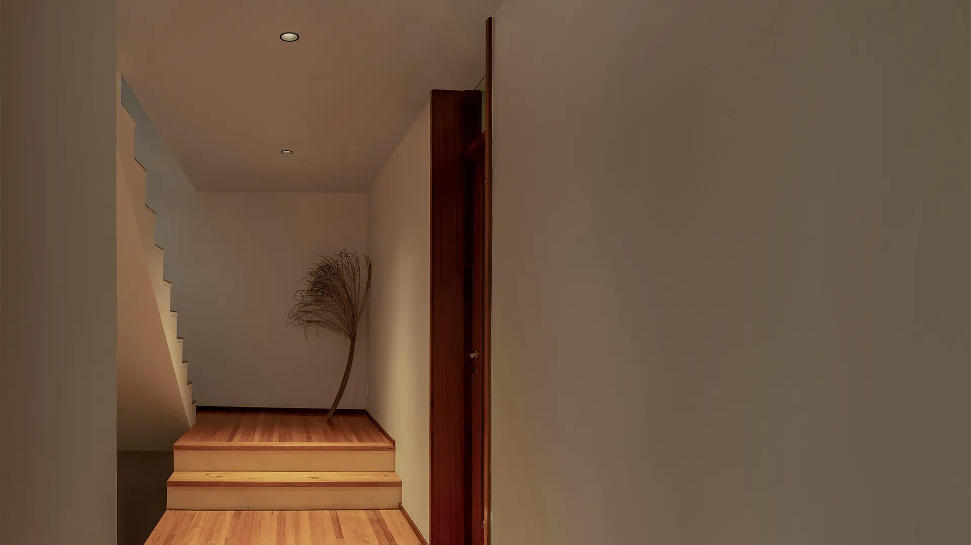 O/M Light - Go Orientable