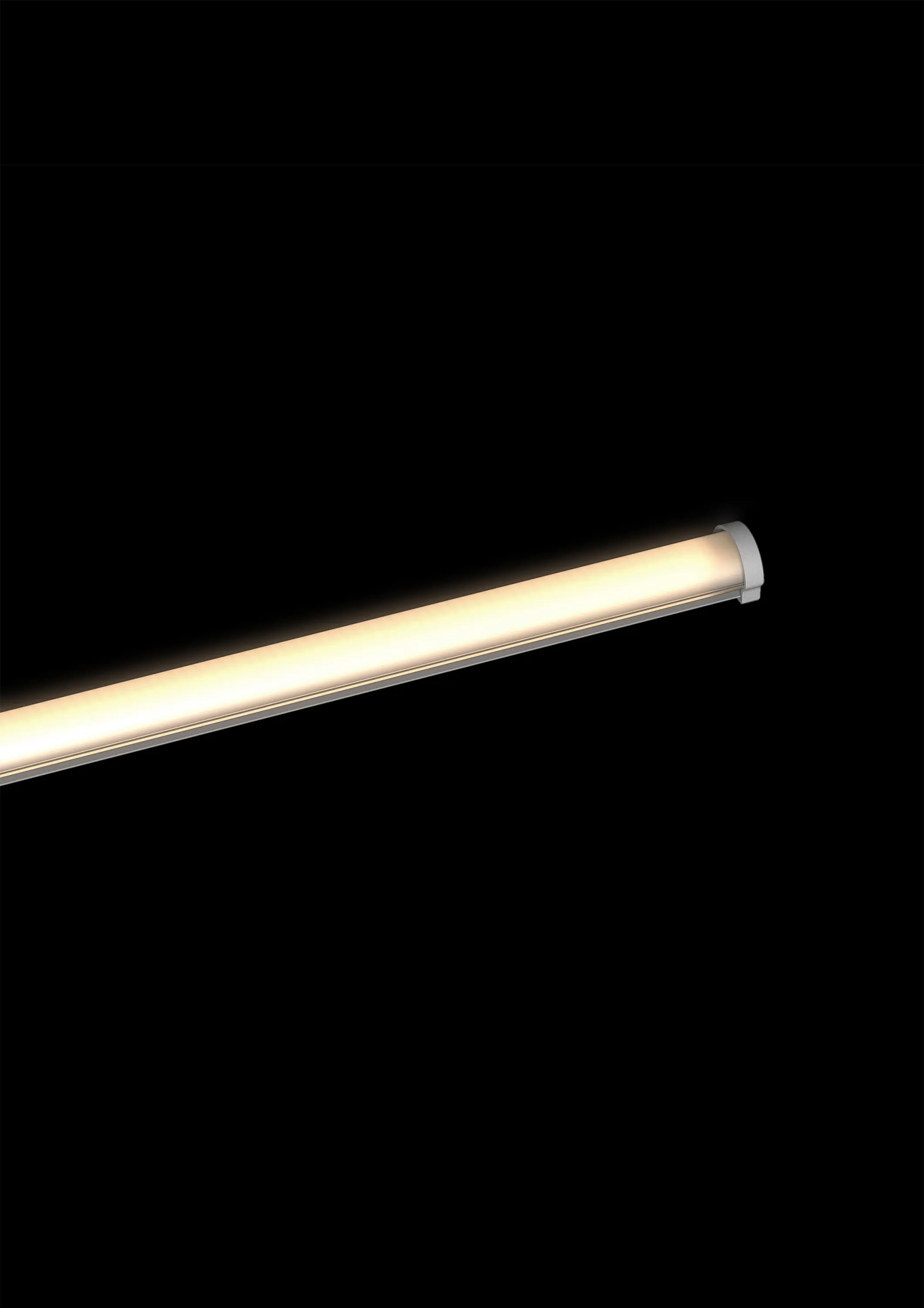 O/M Light - Limit | Flat