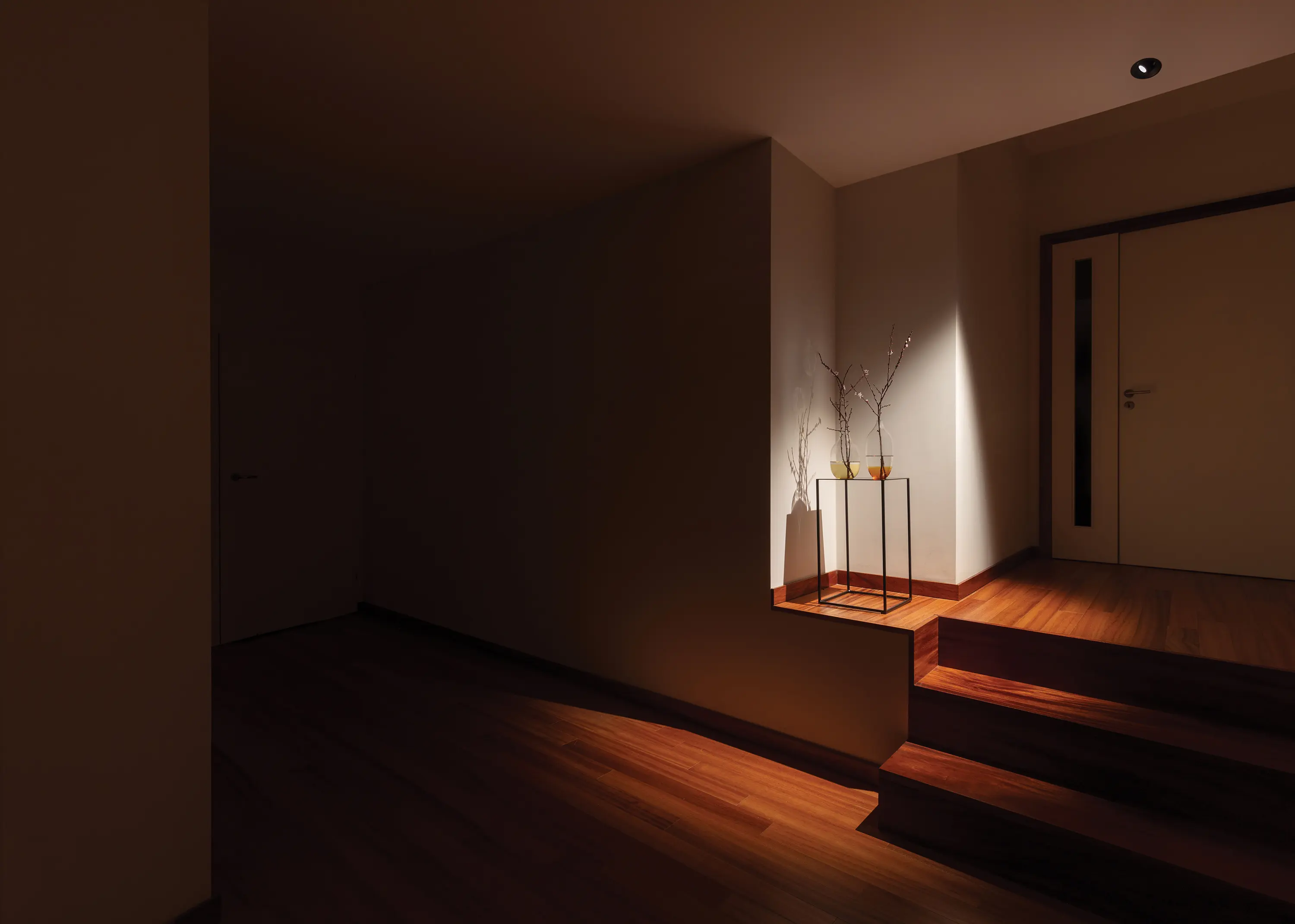 O/M Light - One Plus