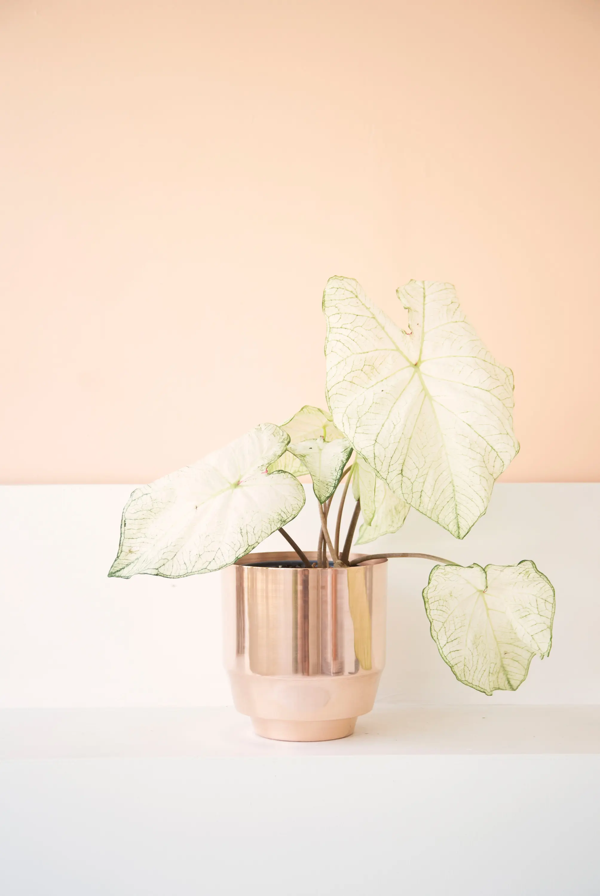 Yield - Indoor Spun Planter 16" | Copper