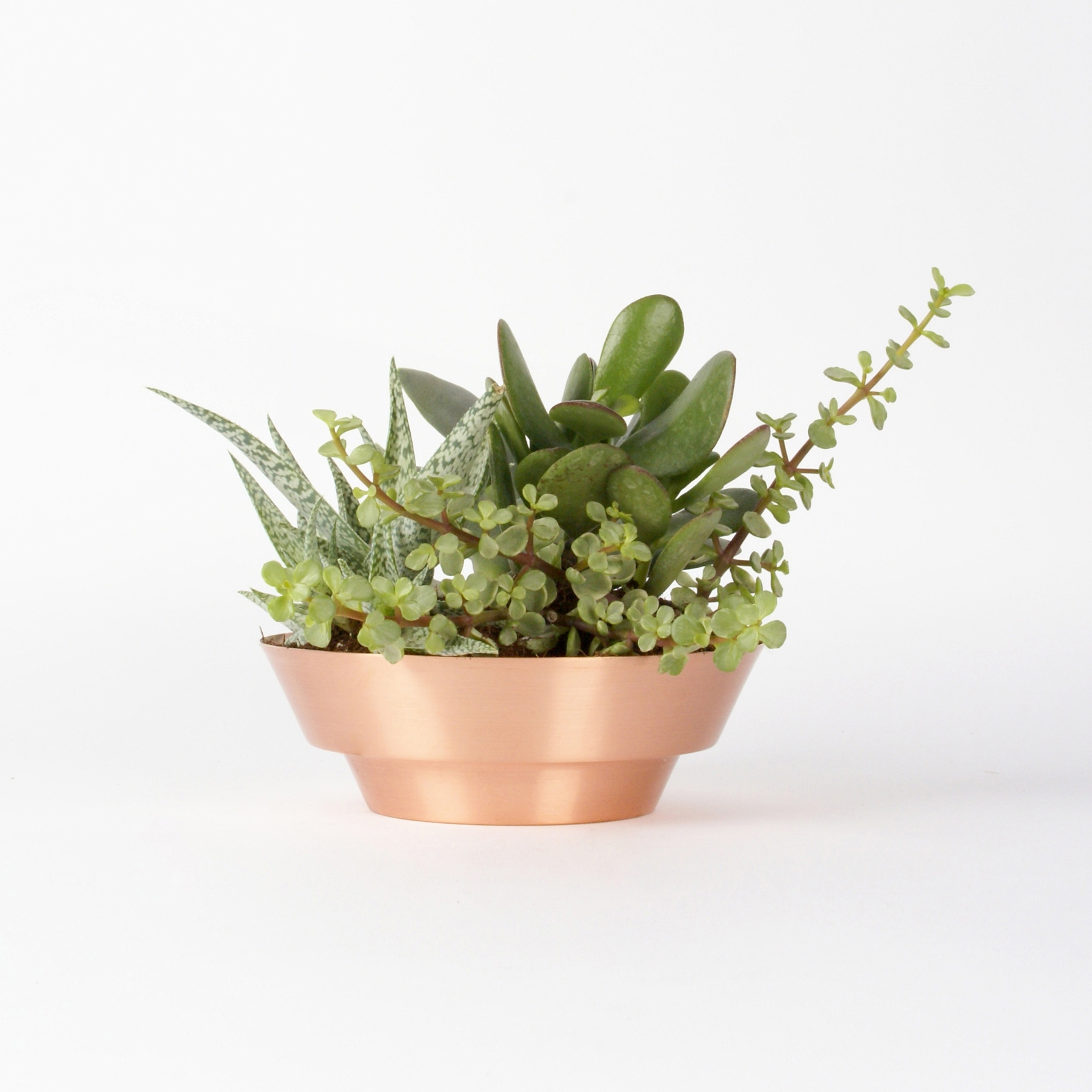 Display product Indoor Spun Bowl 8" | Copper from manufacturer Yield