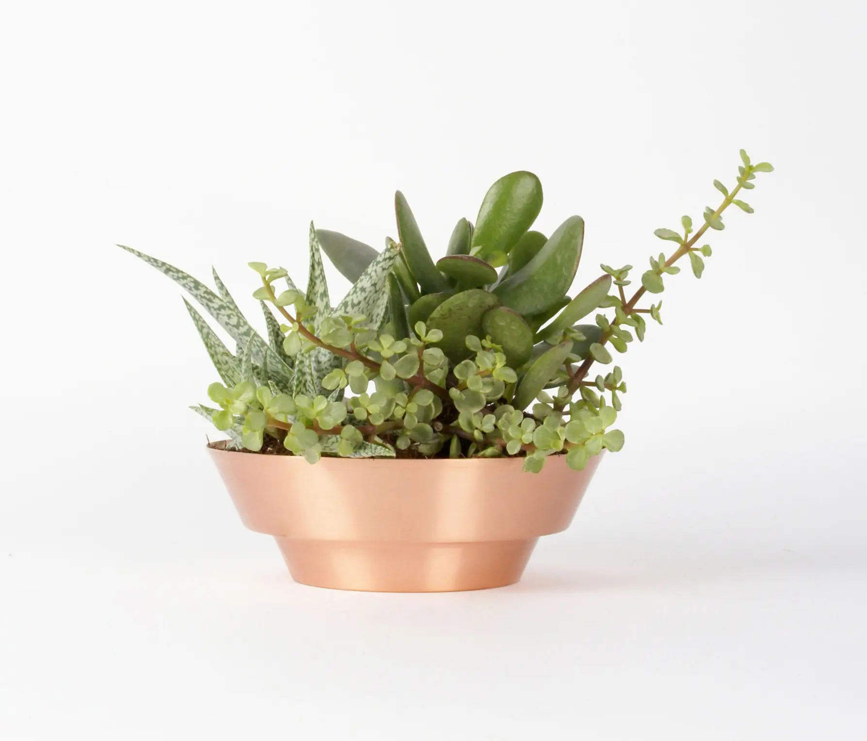 Yield - Indoor Spun Bowl 8" | Copper