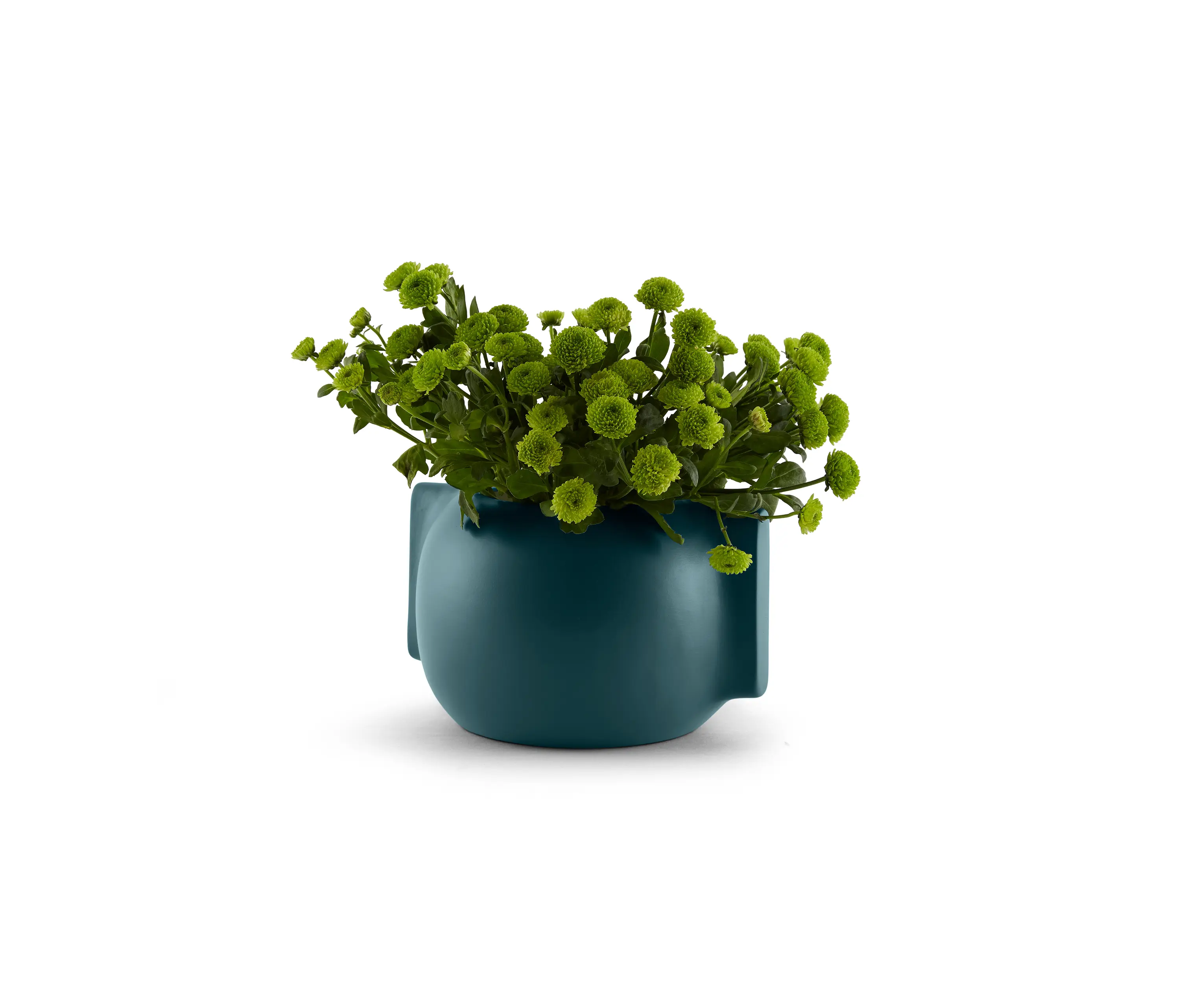 Incipit Lab srl - Moai - Low deep teal