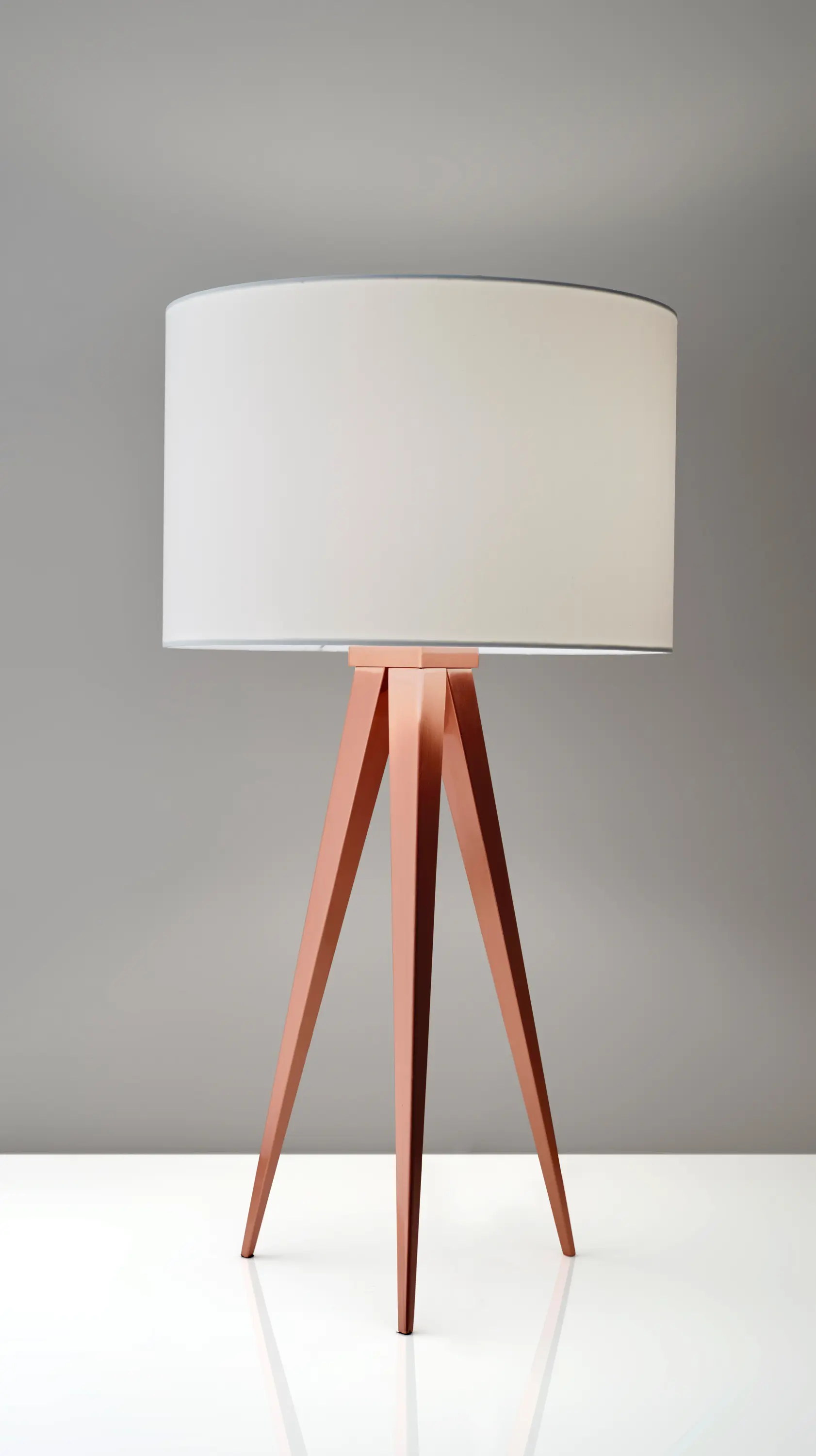 ADS360 - Director Floor Lamp