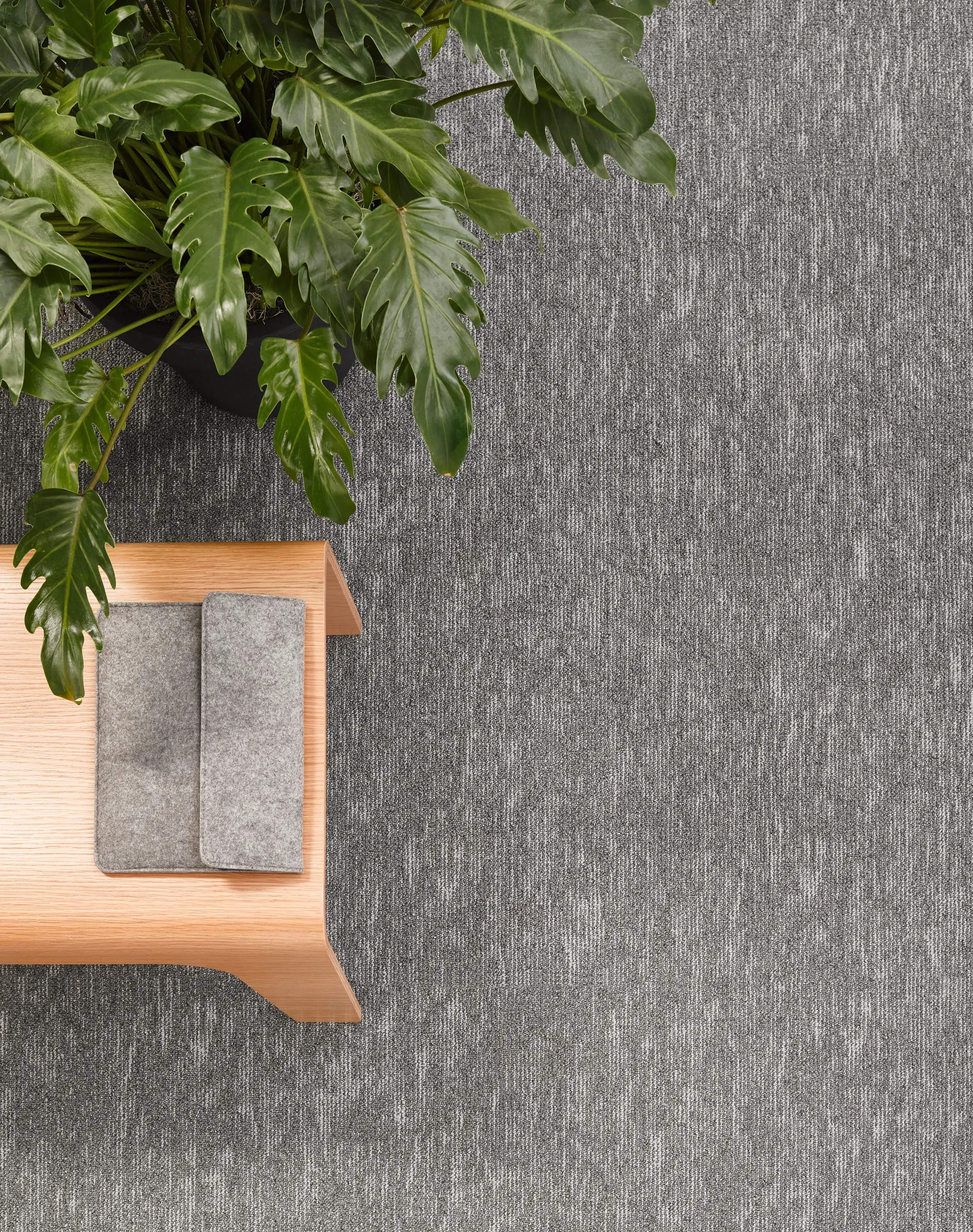 Desso by Tarkett - Grain