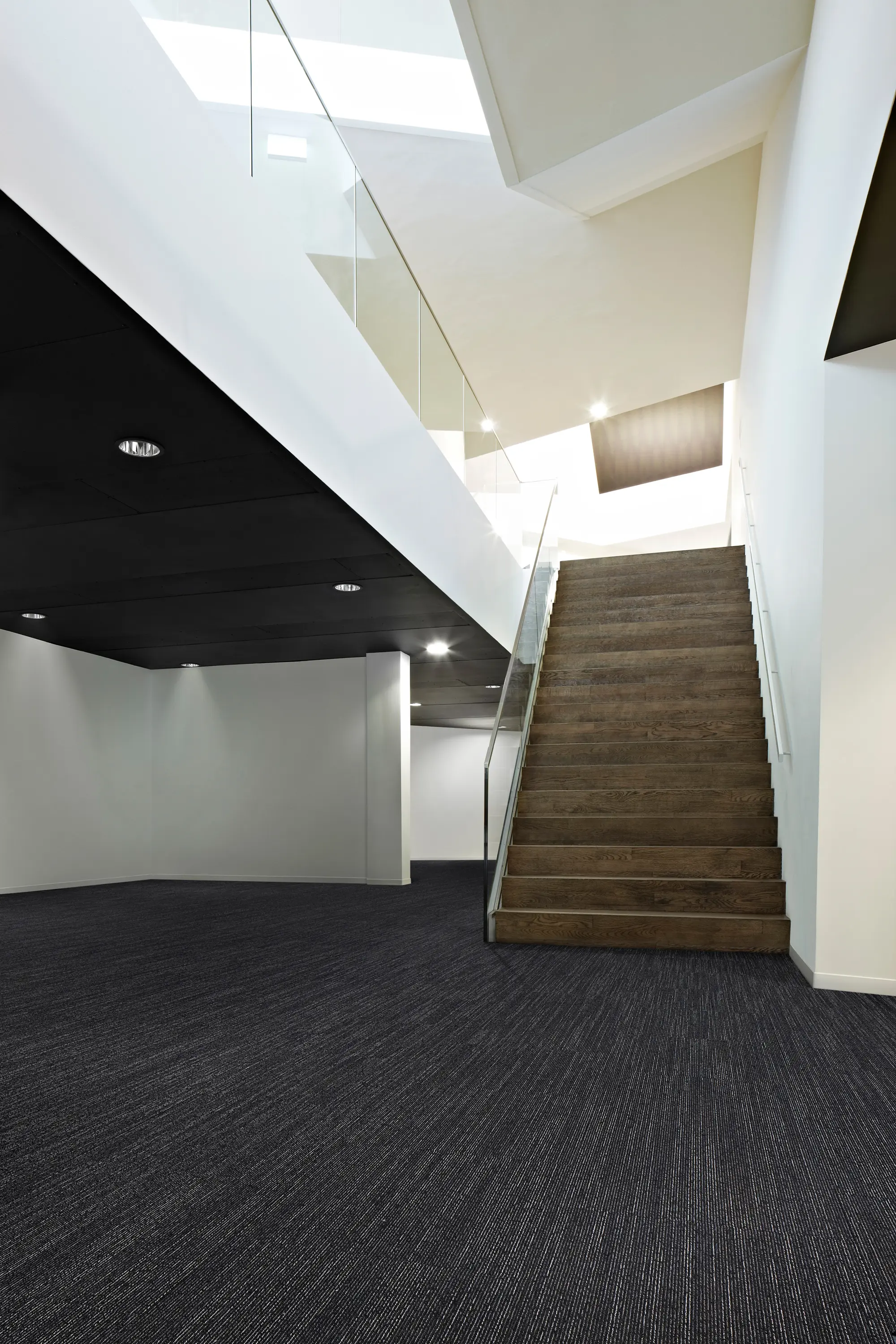 Desso by Tarkett - Trace