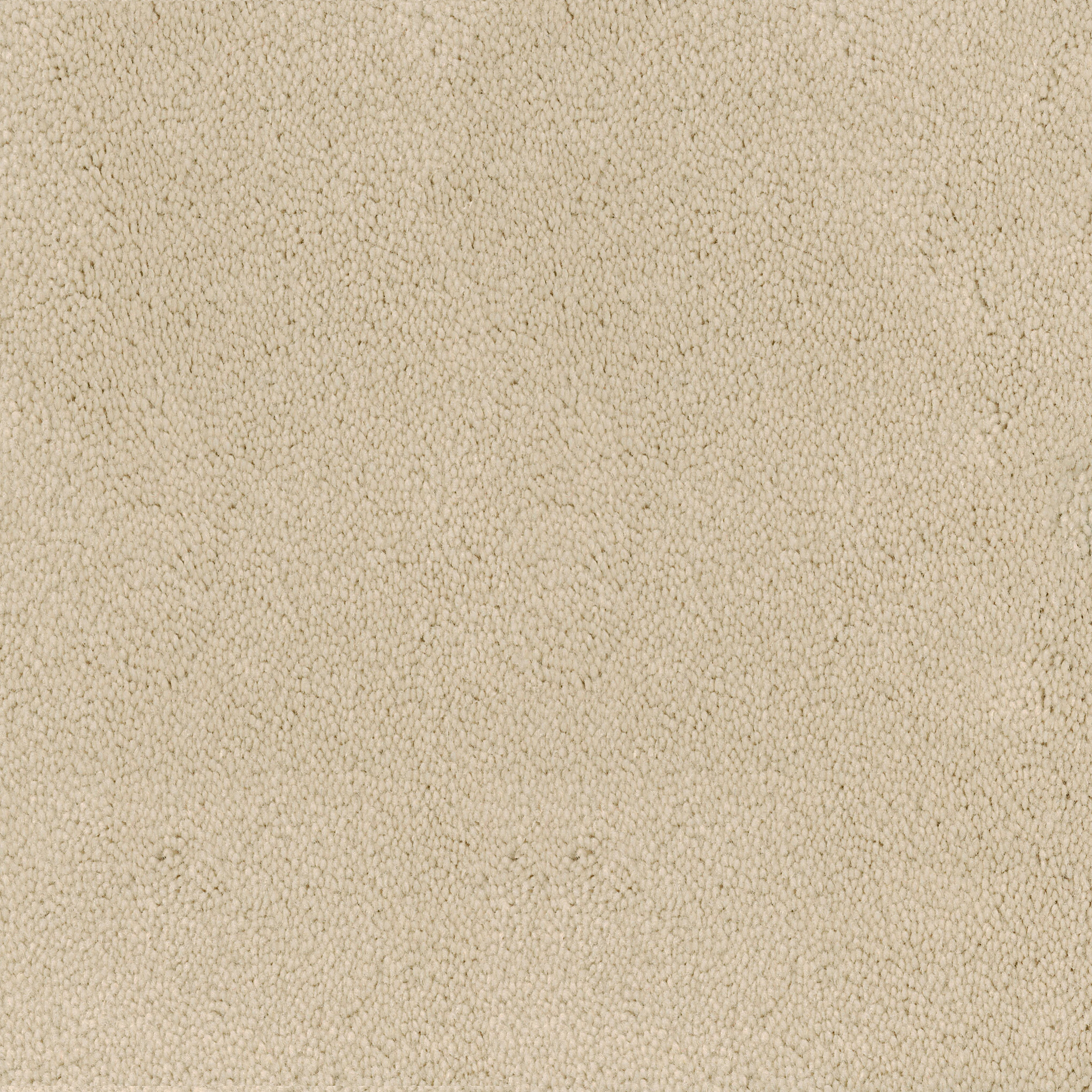 Produkt Asteranne Broadloom des Herstellers Desso by Tarkett anzeigen