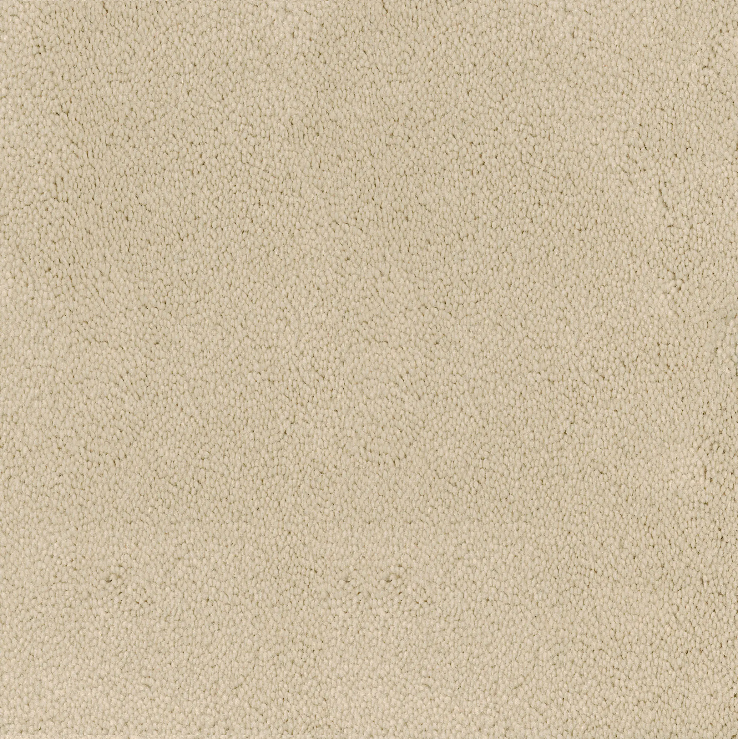 Desso by Tarkett - Asteranne Broadloom