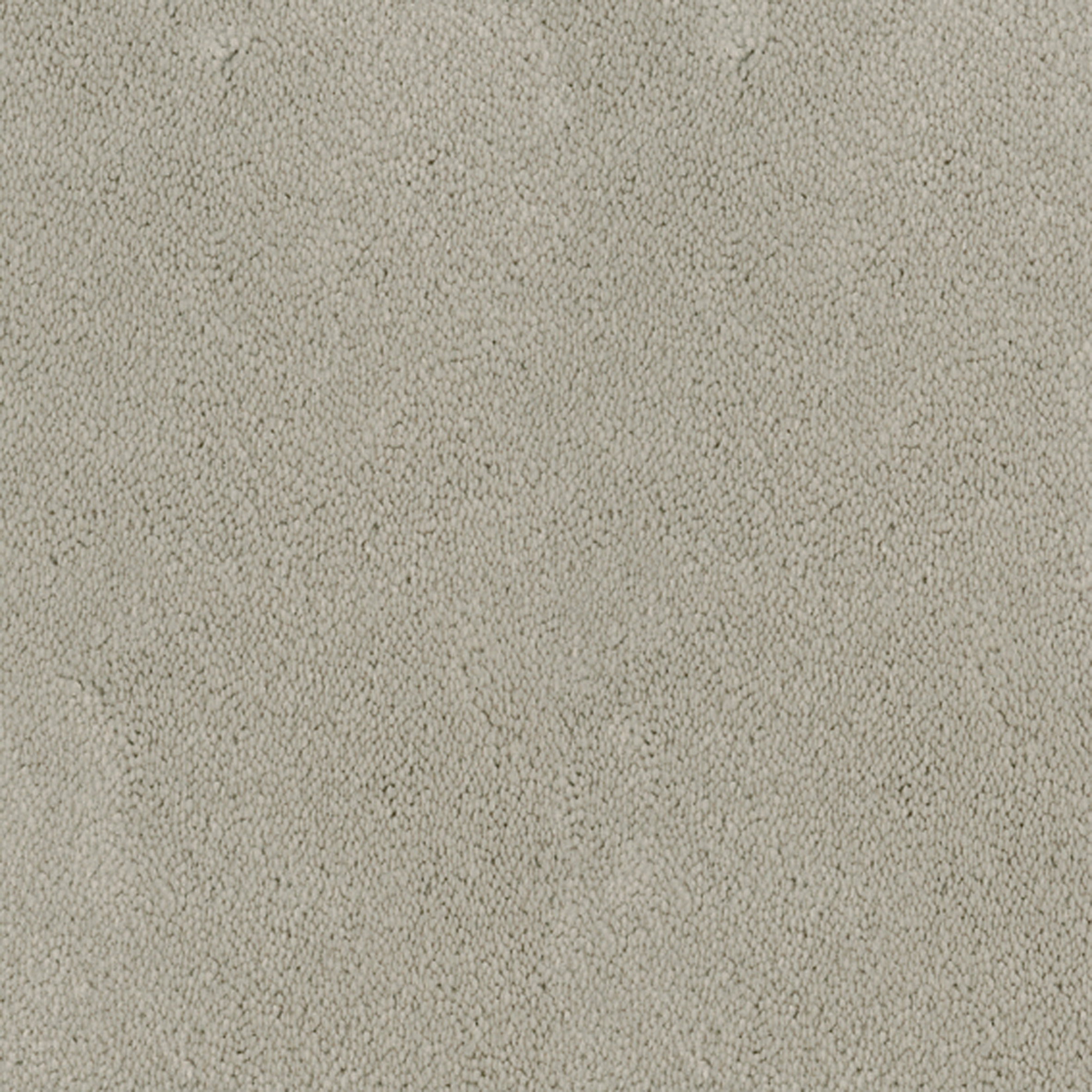 Asteranne Broadloom