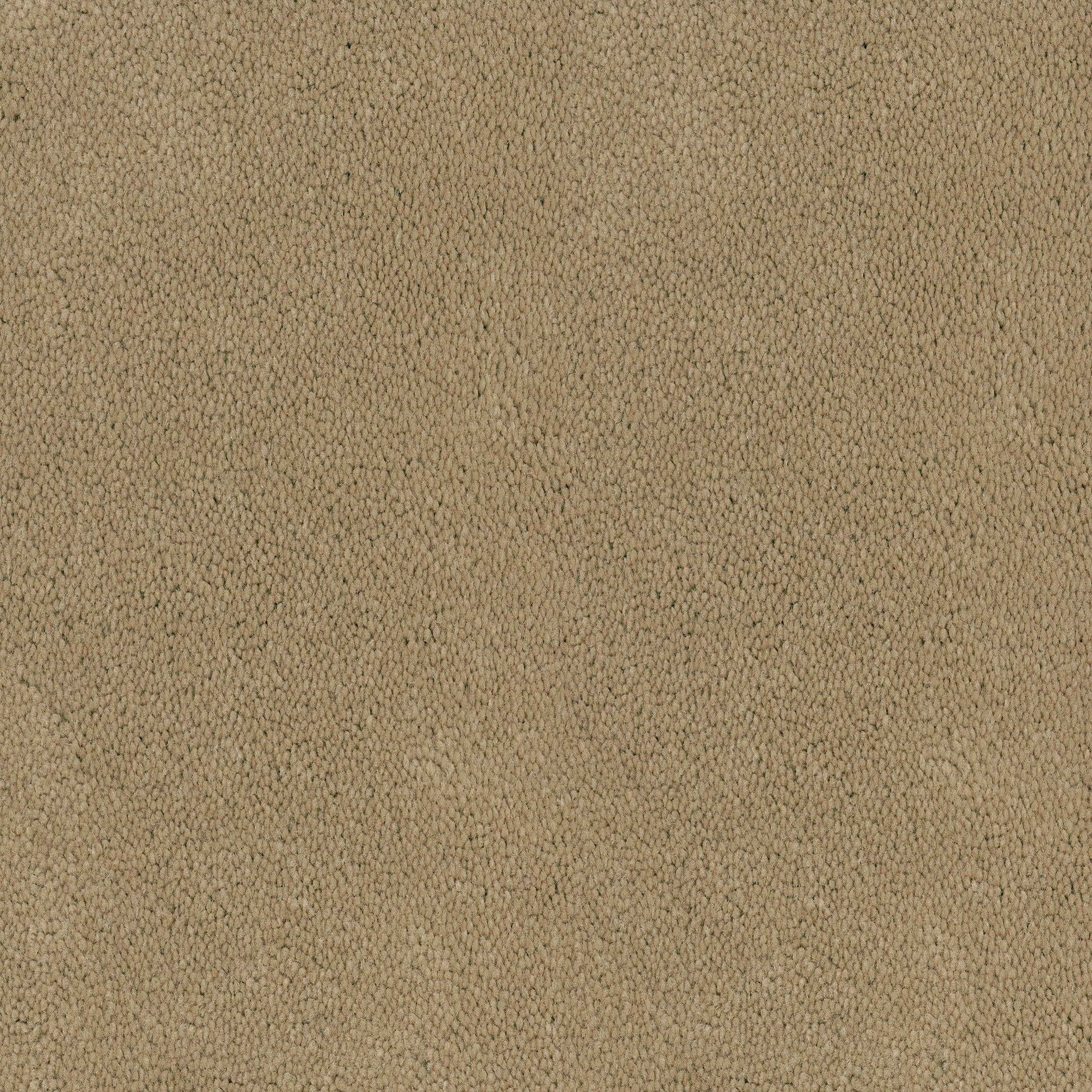Asteranne Broadloom