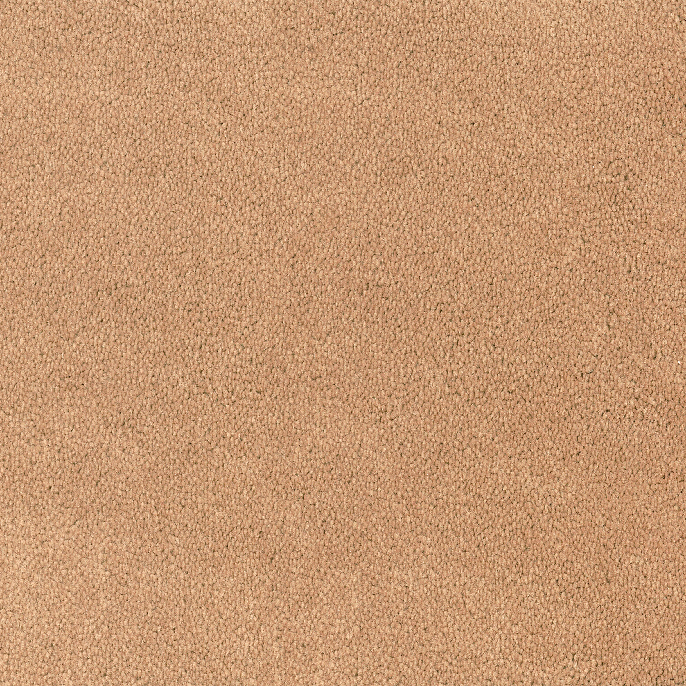 Asteranne Broadloom