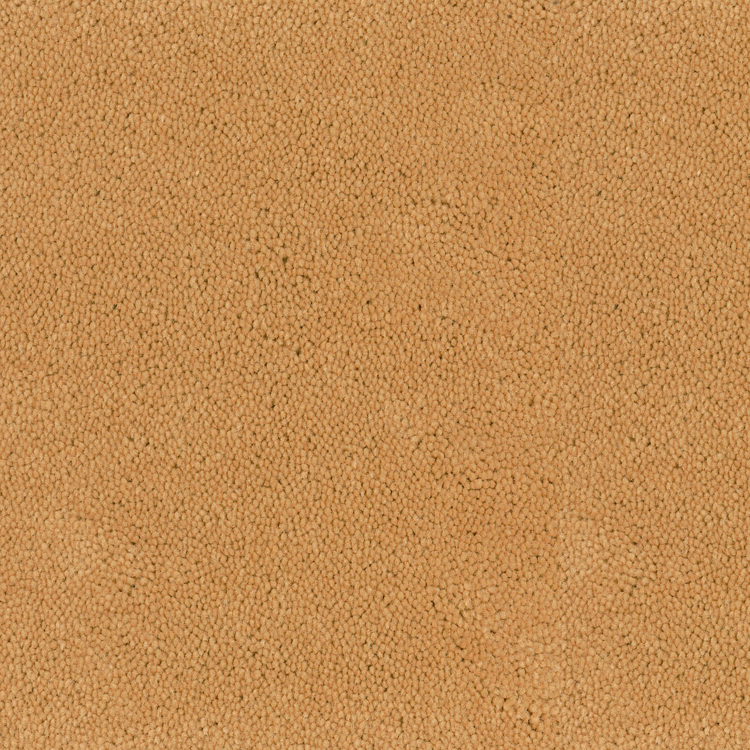 Asteranne Broadloom