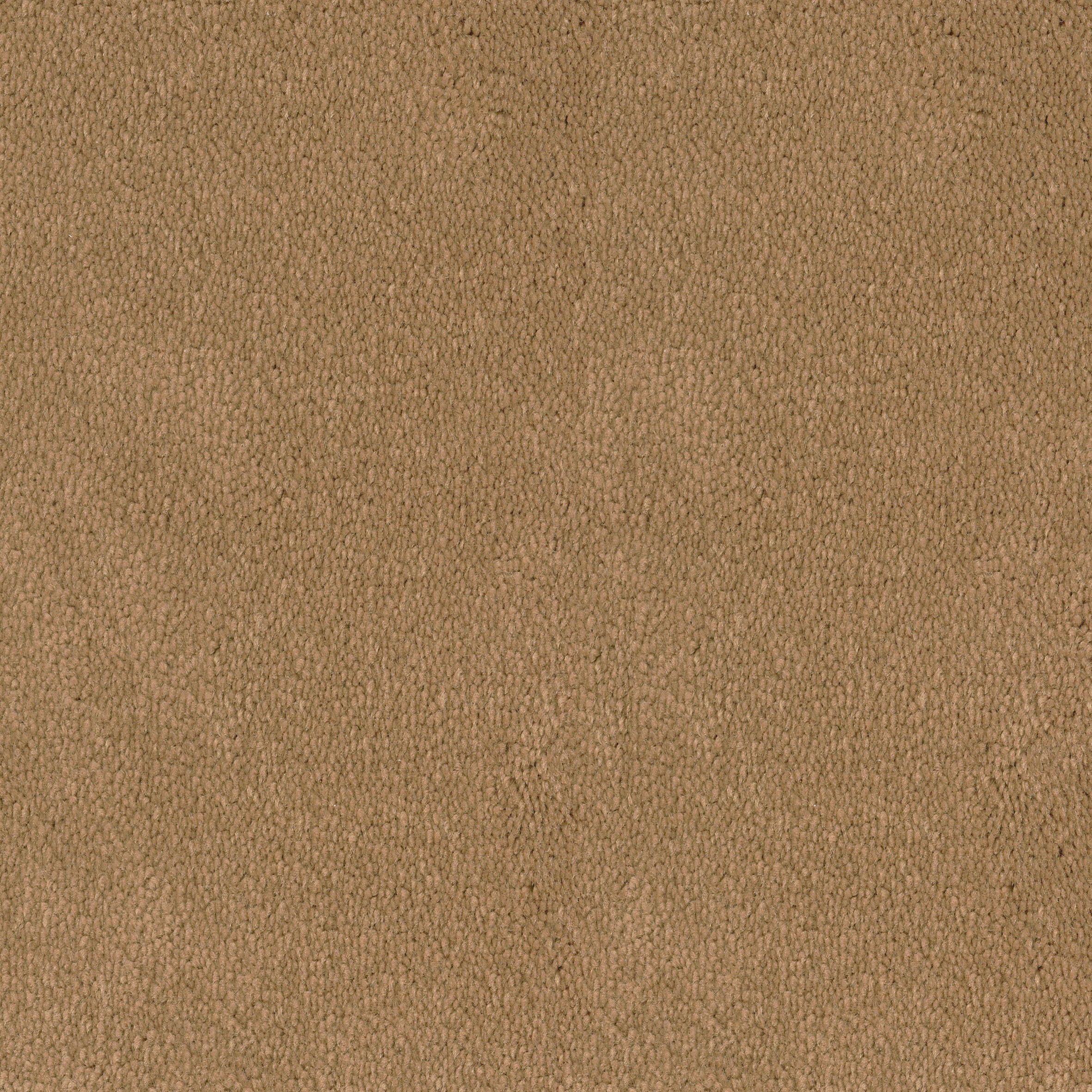 Asteranne Broadloom