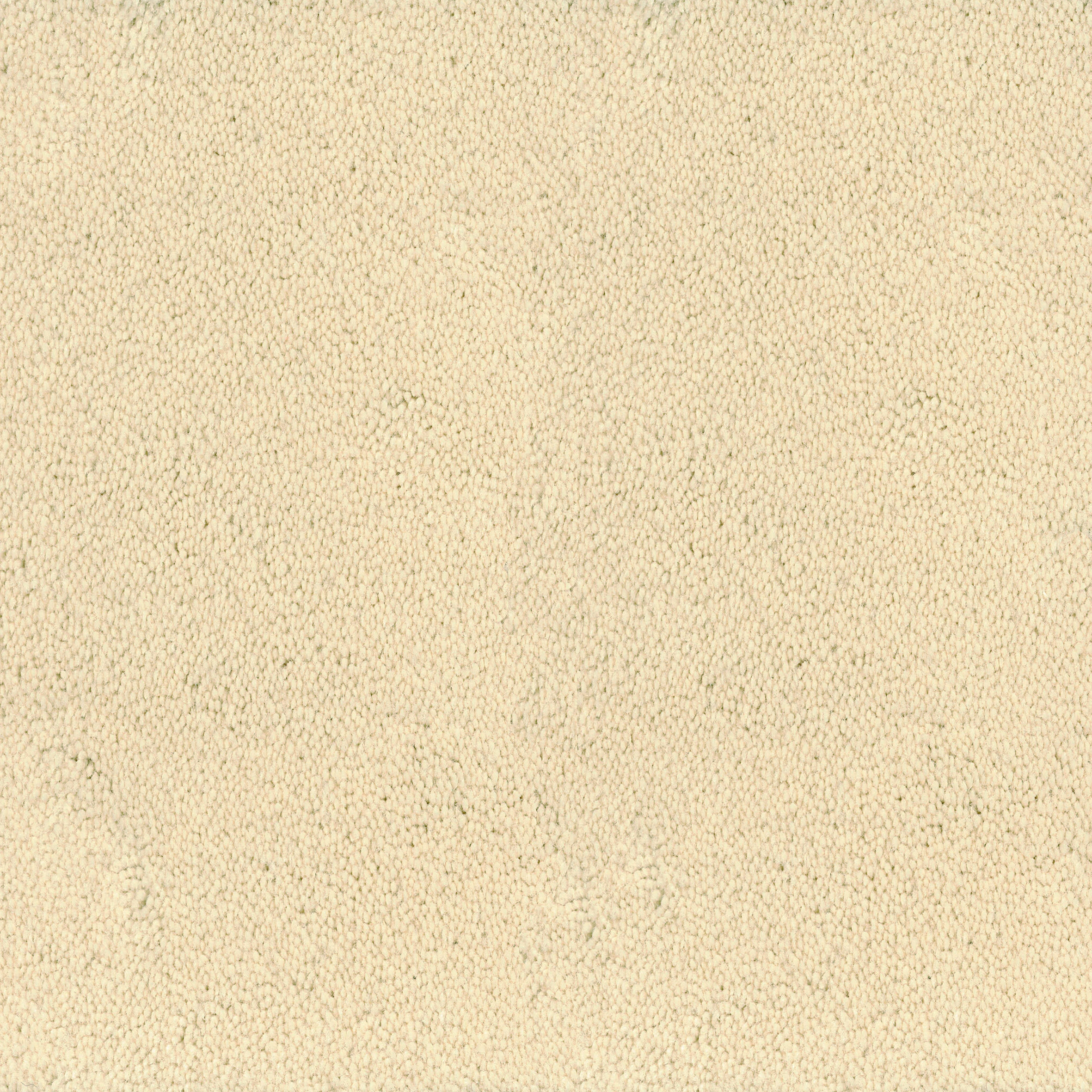 Asteranne Broadloom