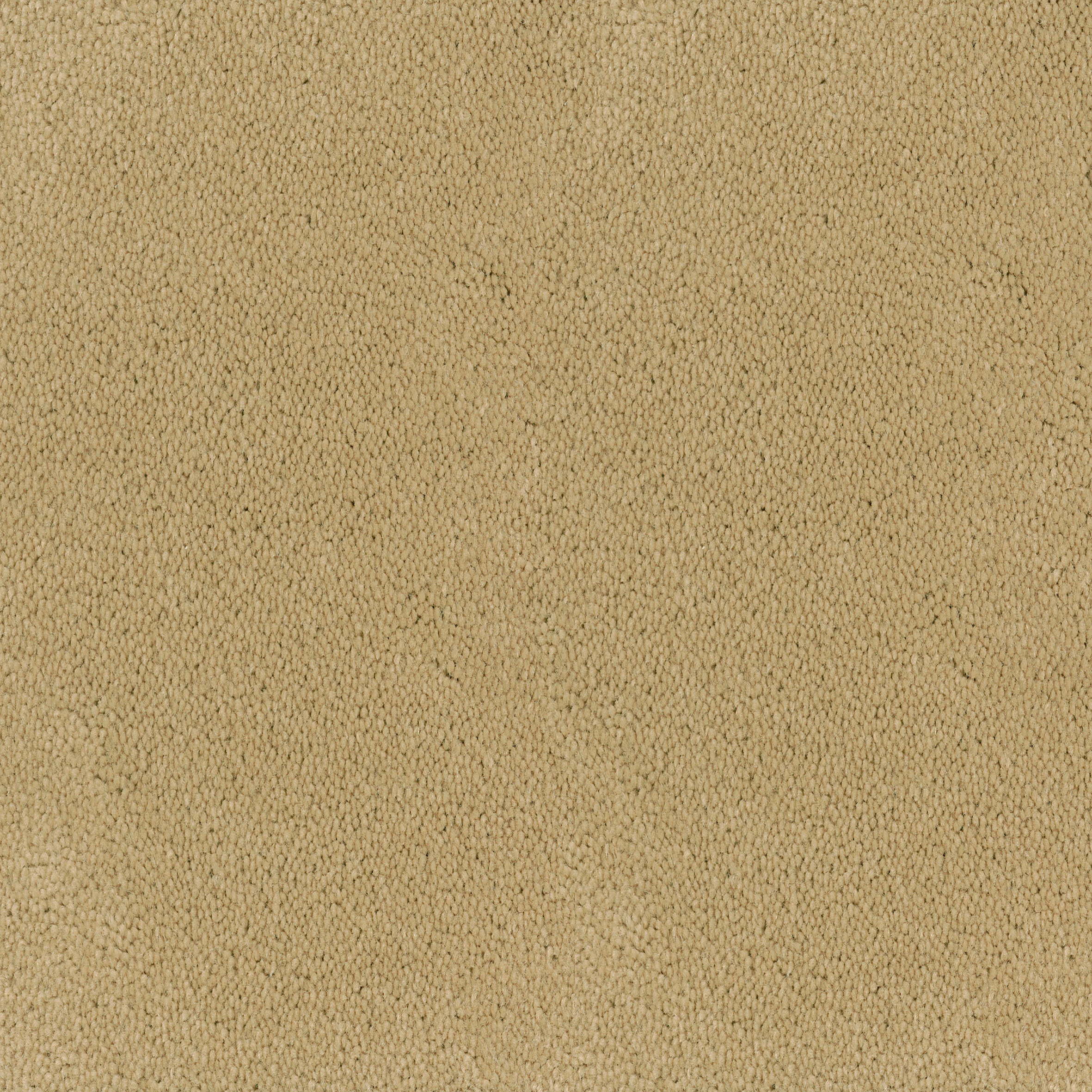 Asteranne Broadloom