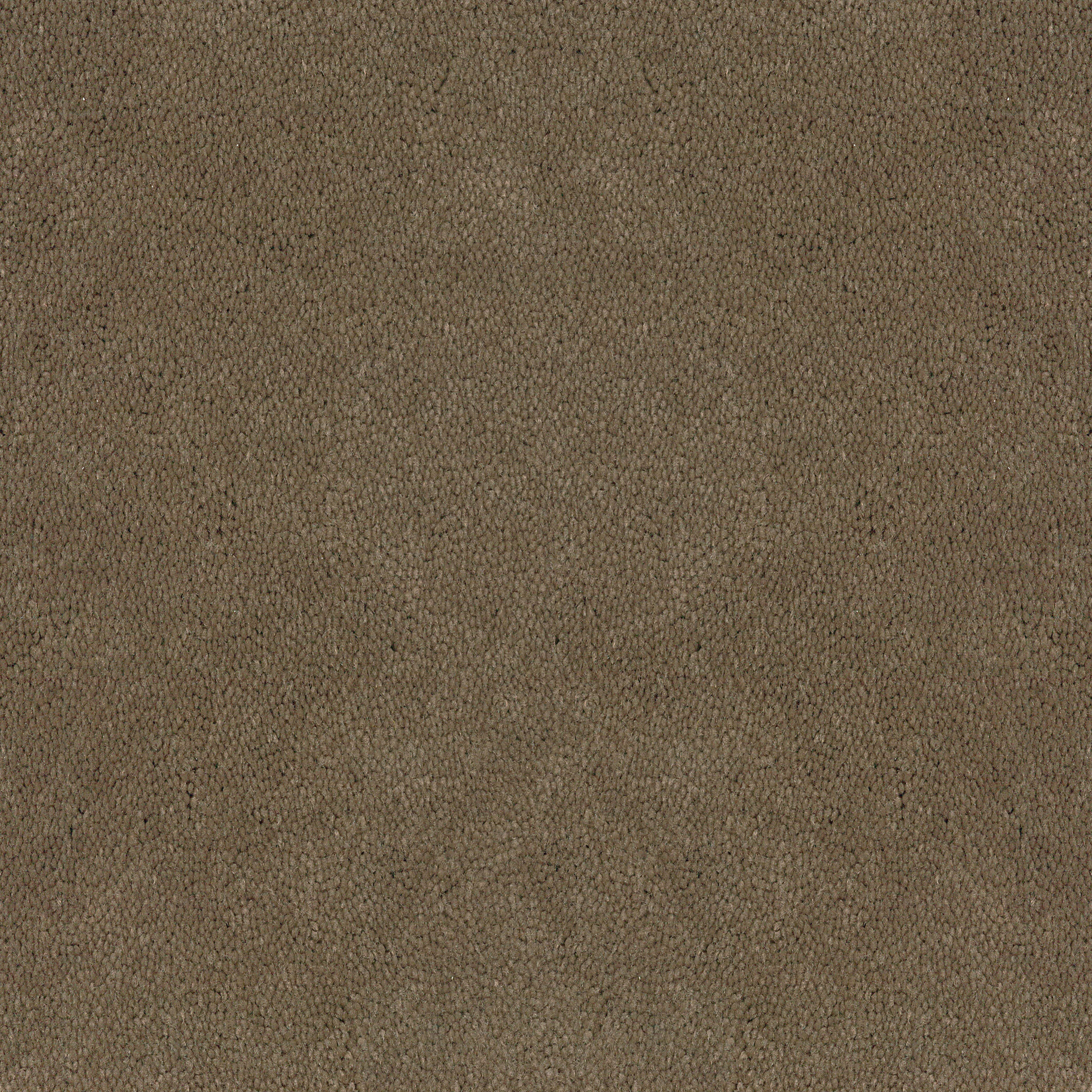 Asteranne Broadloom