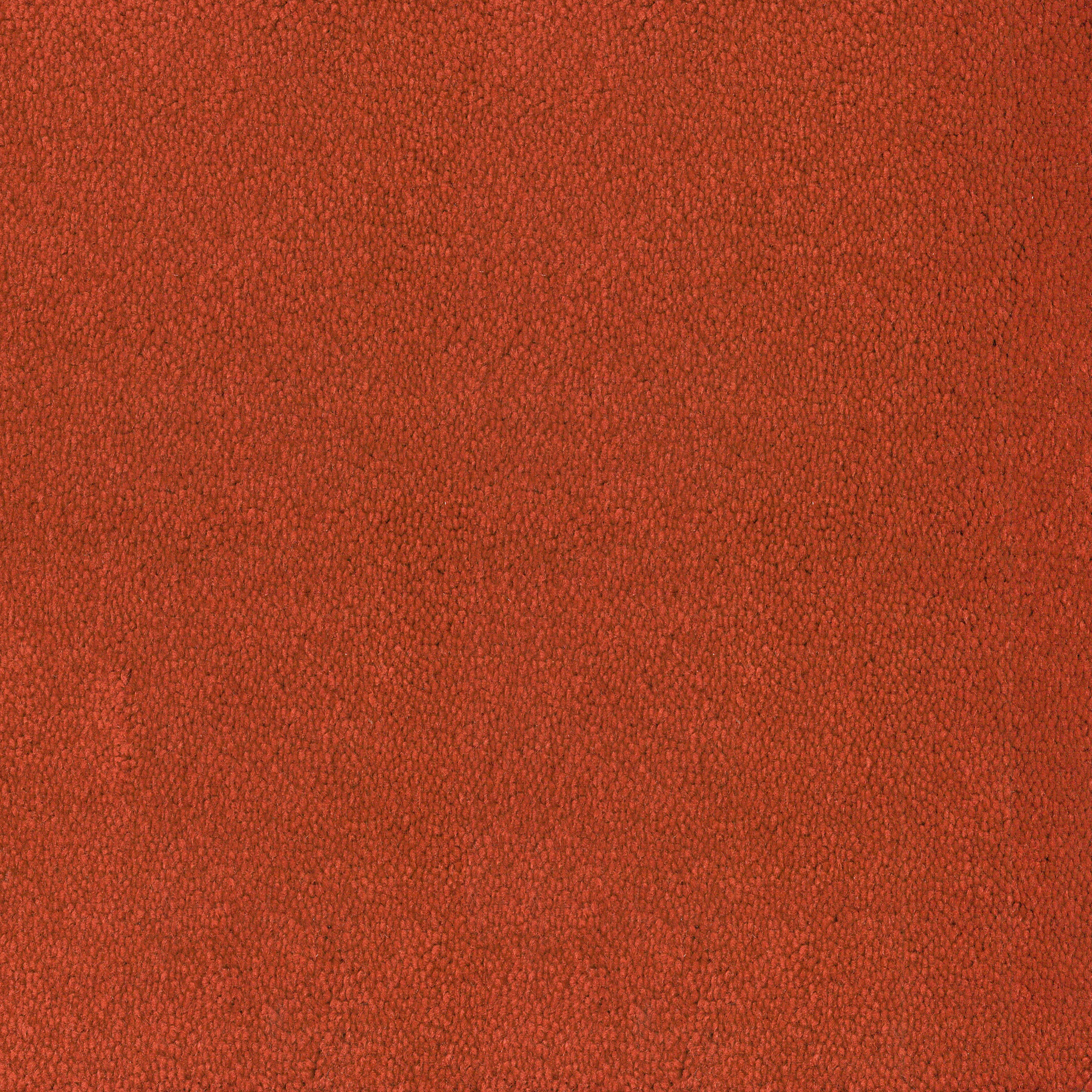 Asteranne Broadloom