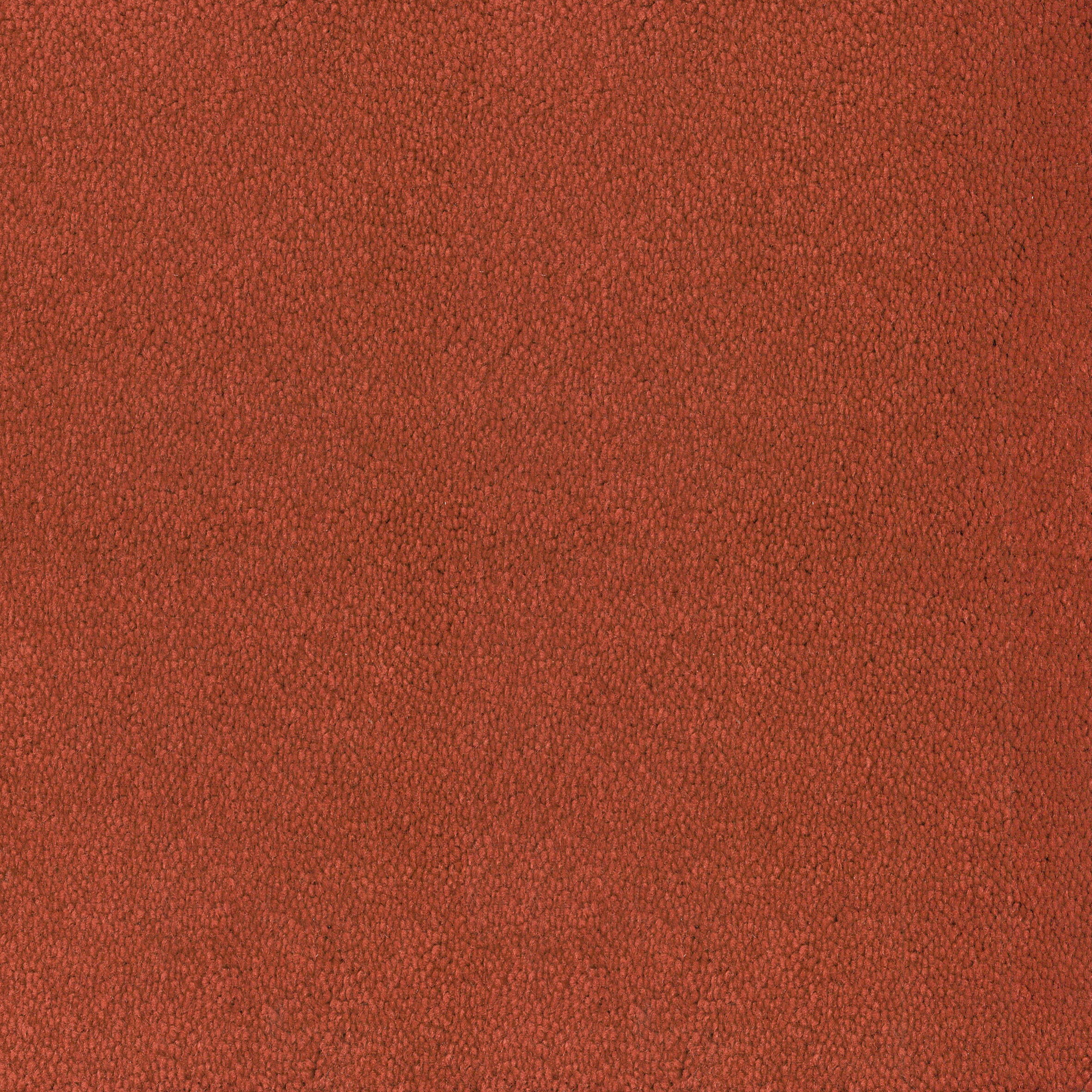 Asteranne Broadloom