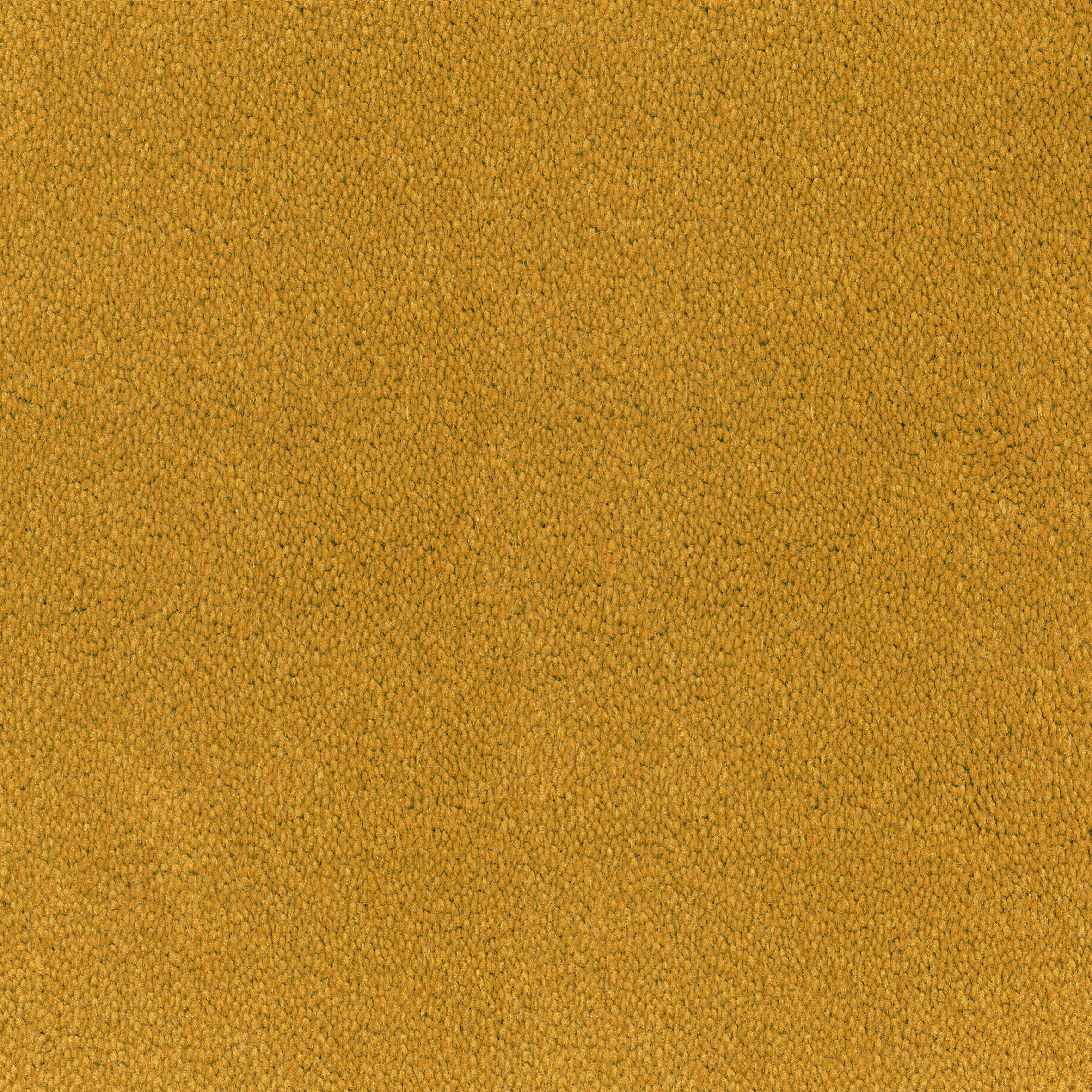 Asteranne Broadloom