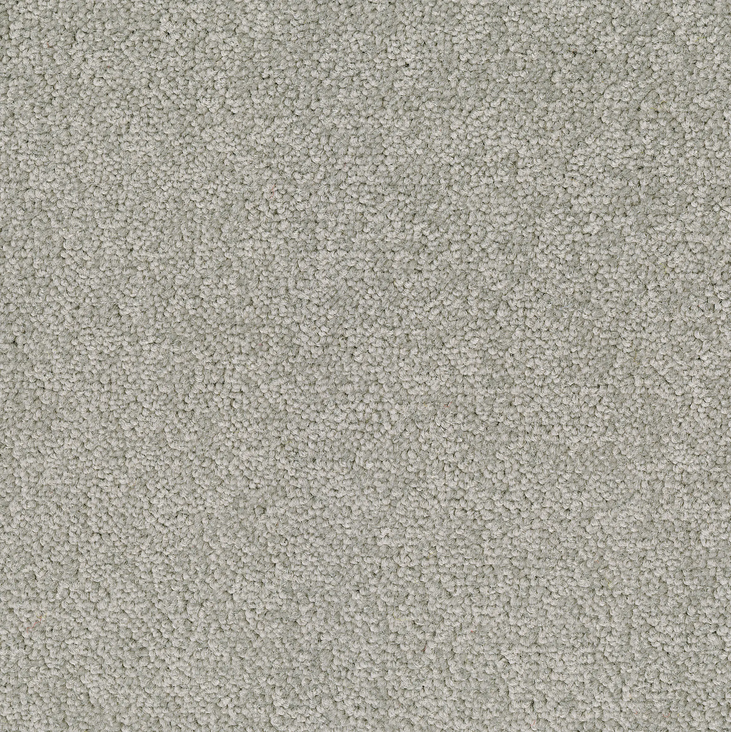 Desso by Tarkett - Palatino Broadloom