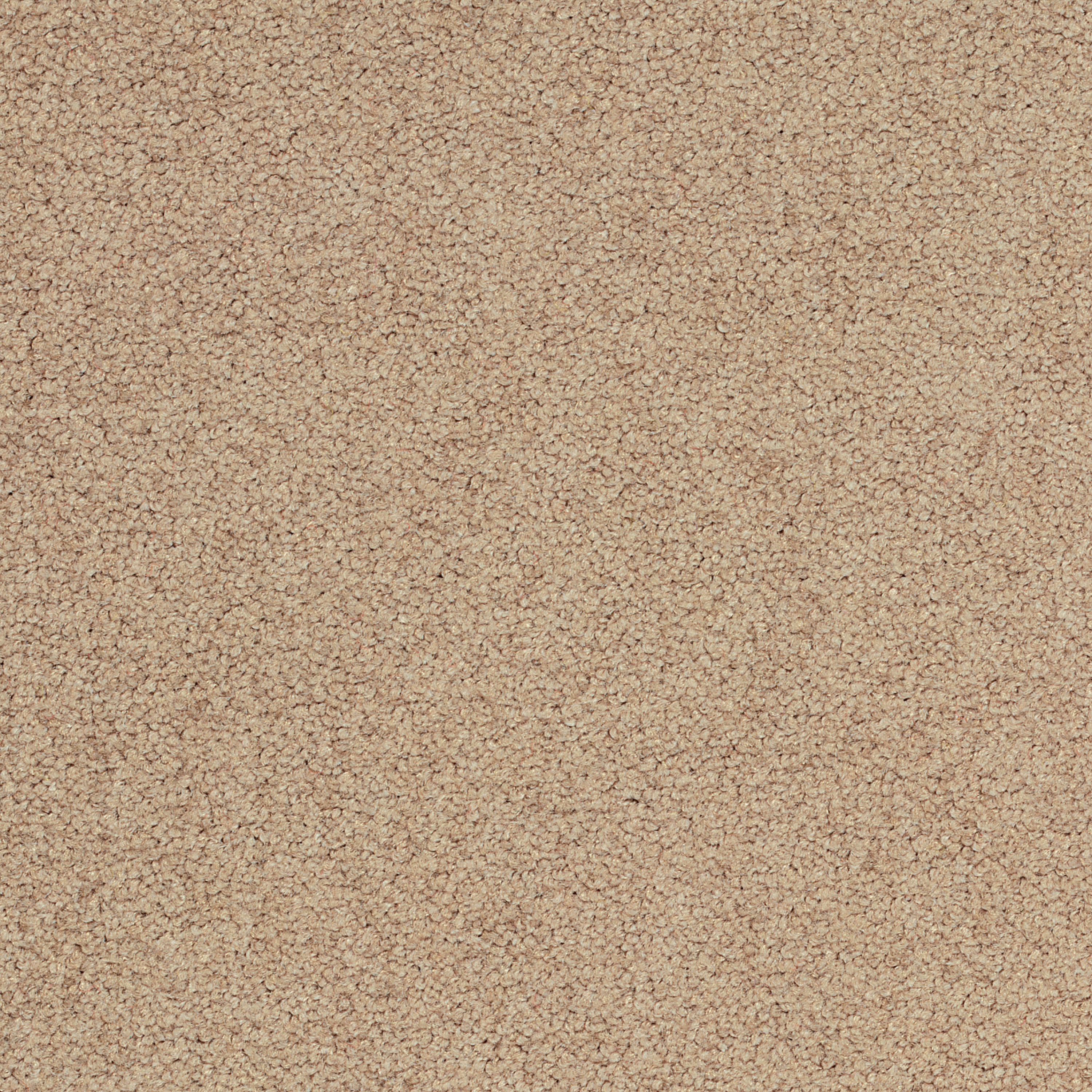 Palatino Broadloom