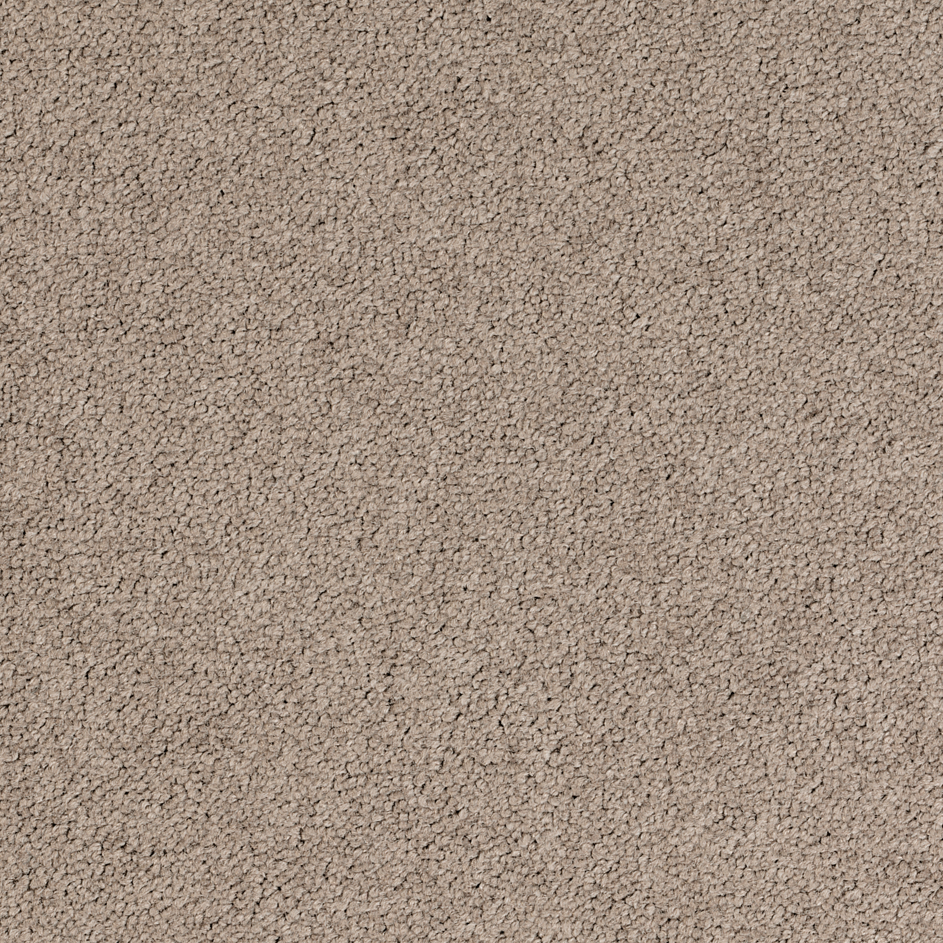 Palatino Broadloom