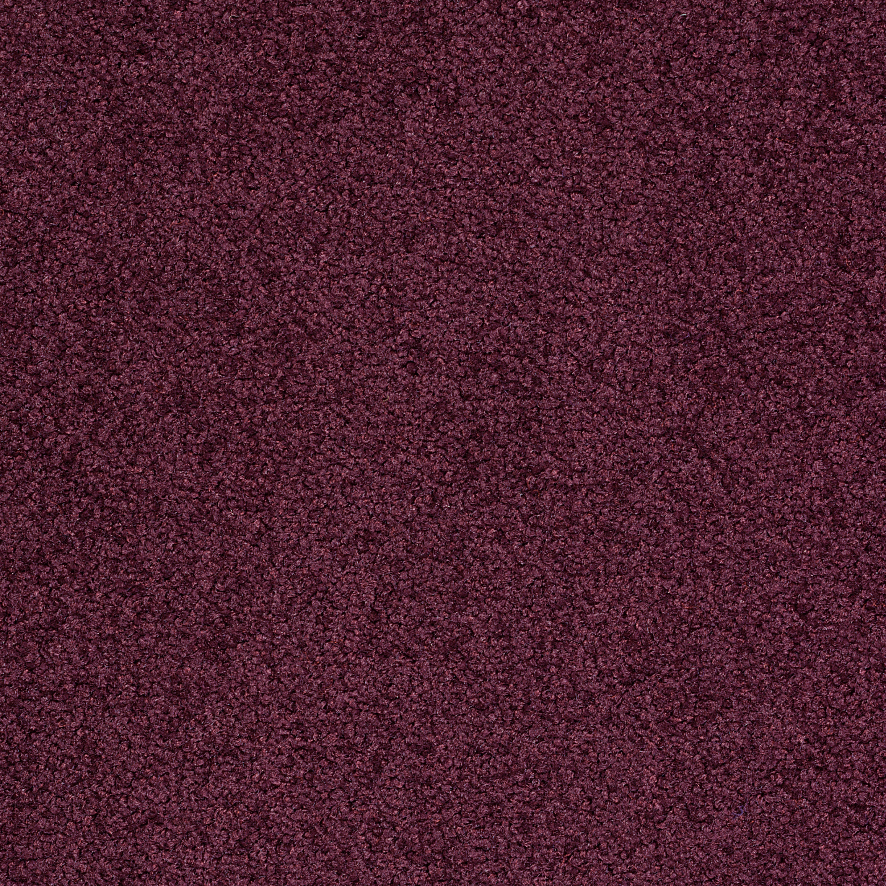 Palatino Broadloom