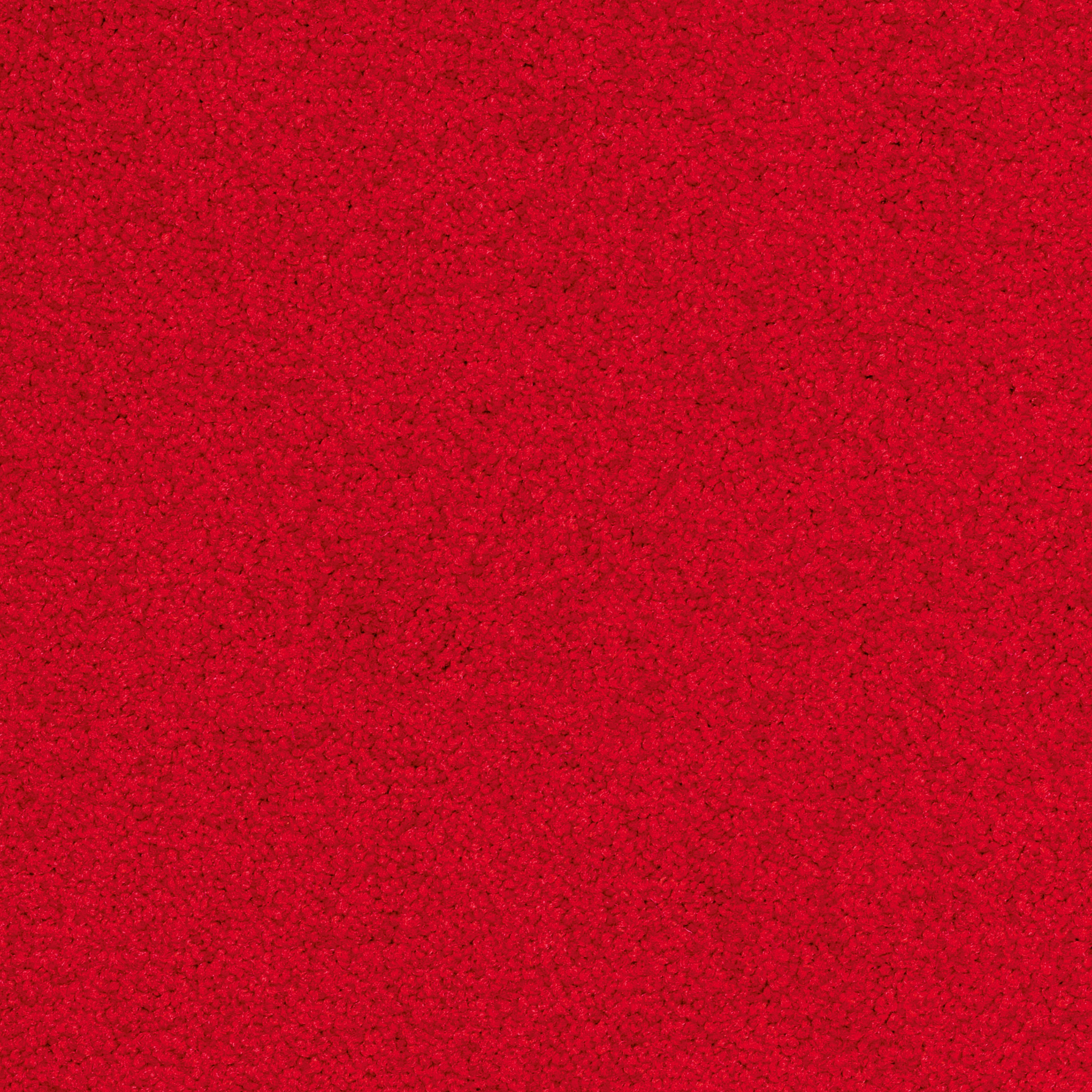 Palatino Broadloom
