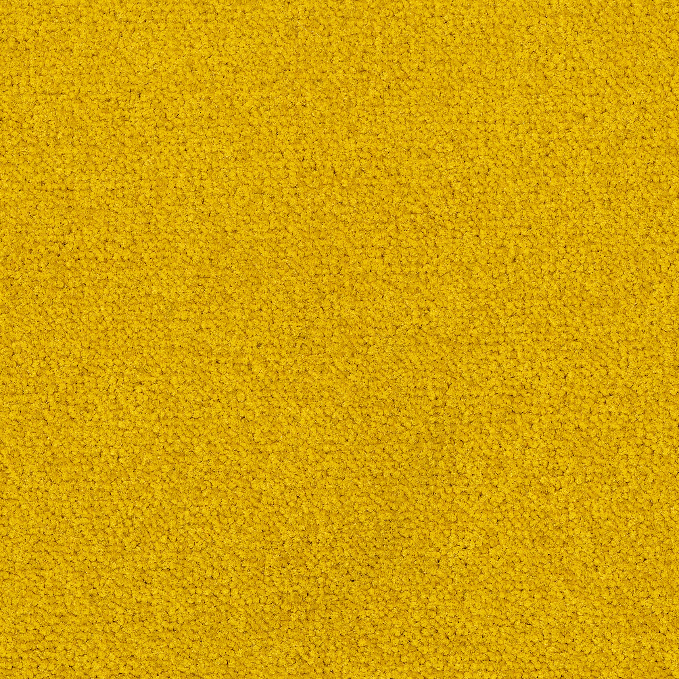 Palatino Broadloom