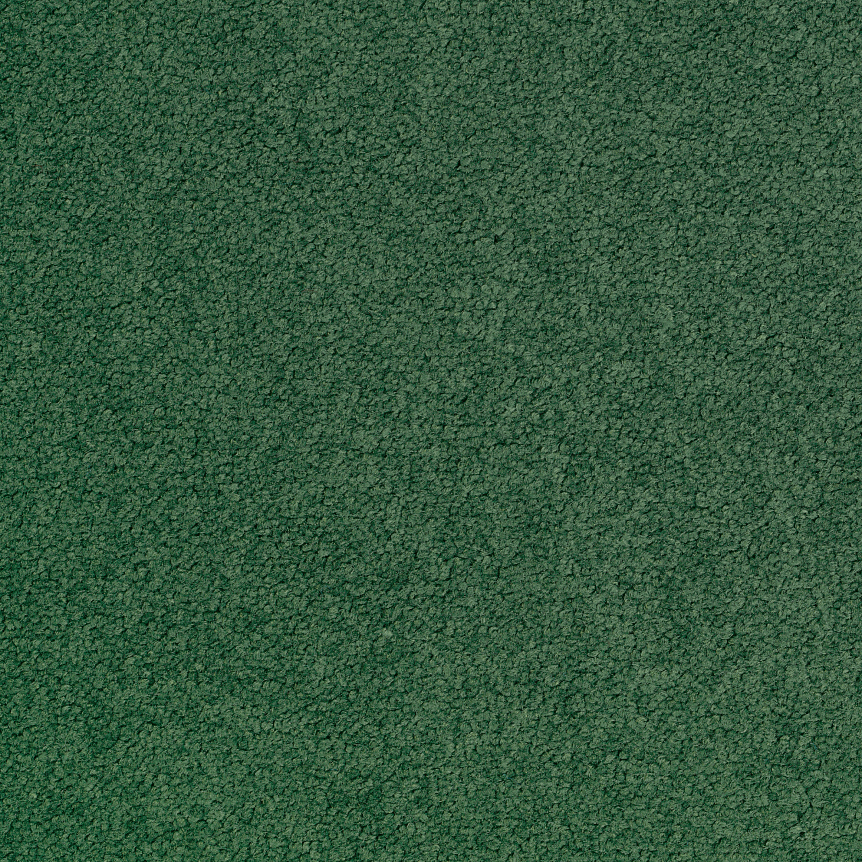 Palatino Broadloom