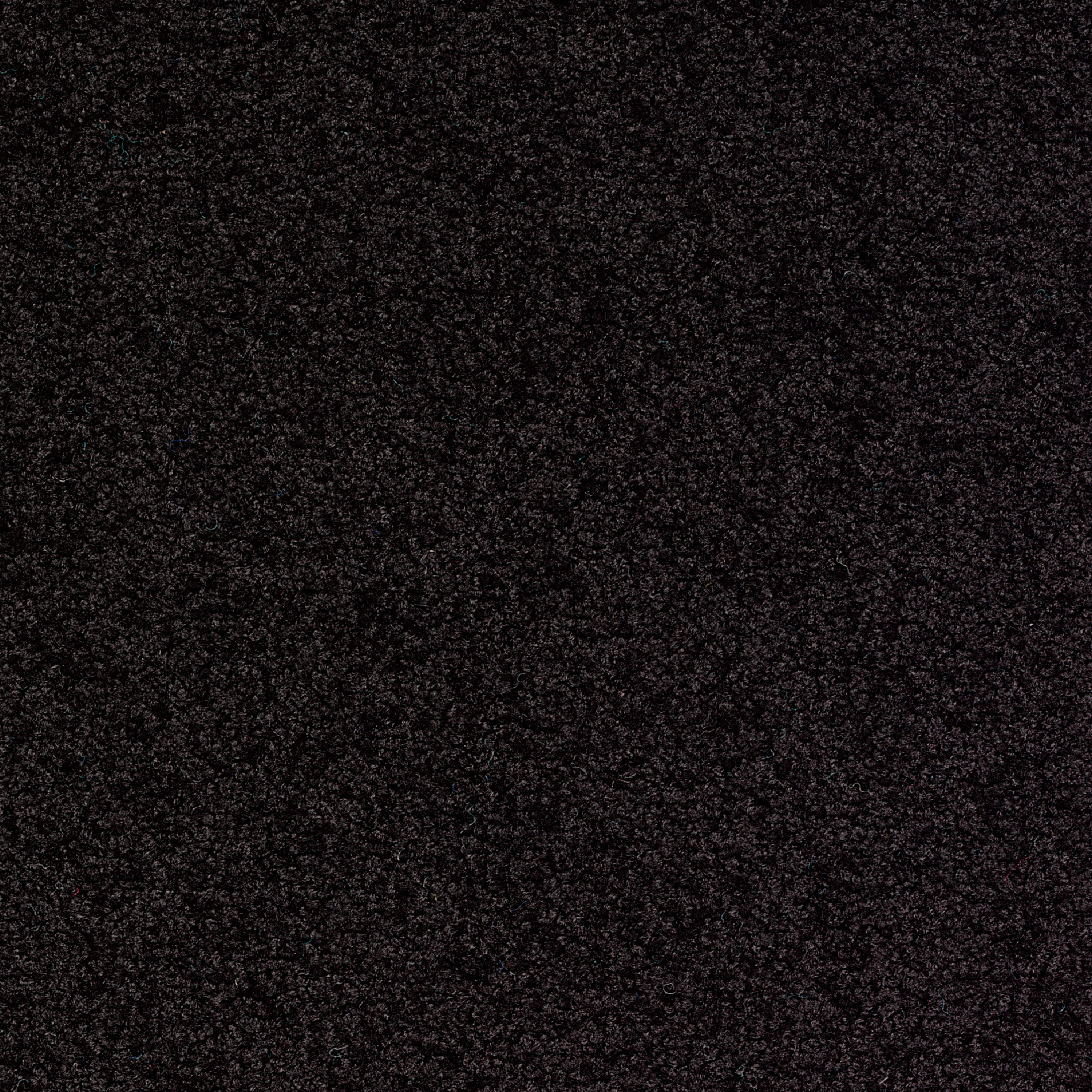 Palatino Broadloom