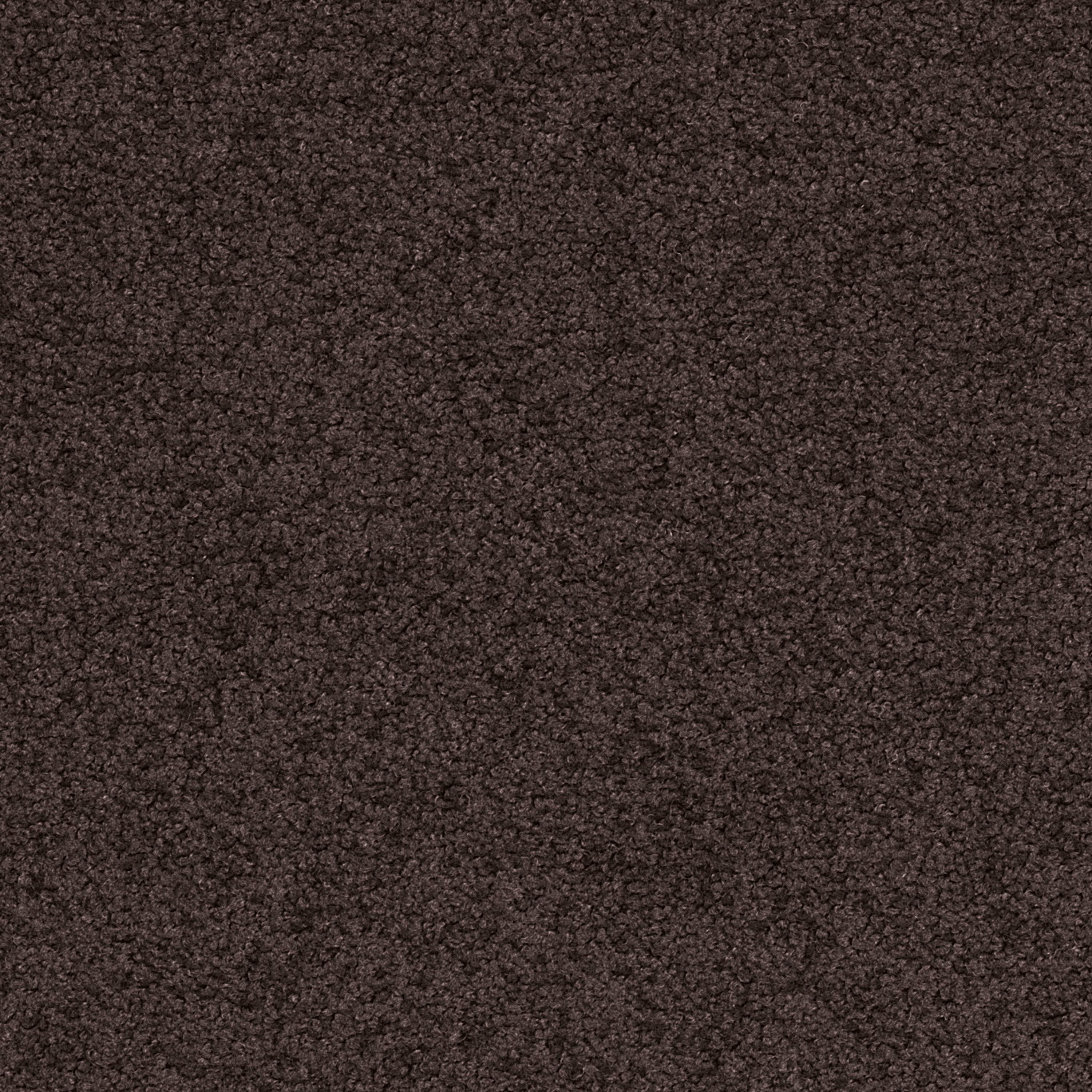 Palatino Broadloom