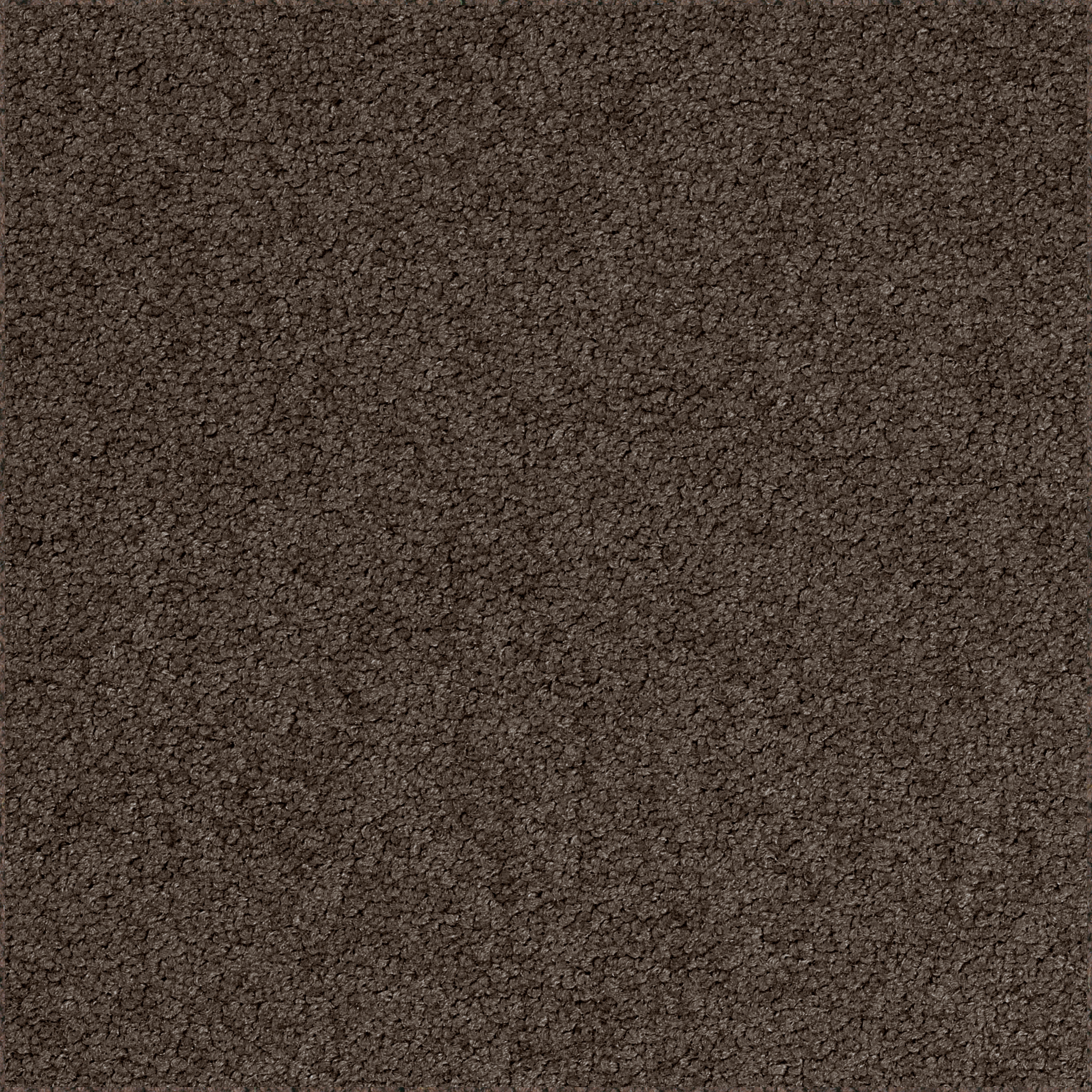Palatino Broadloom