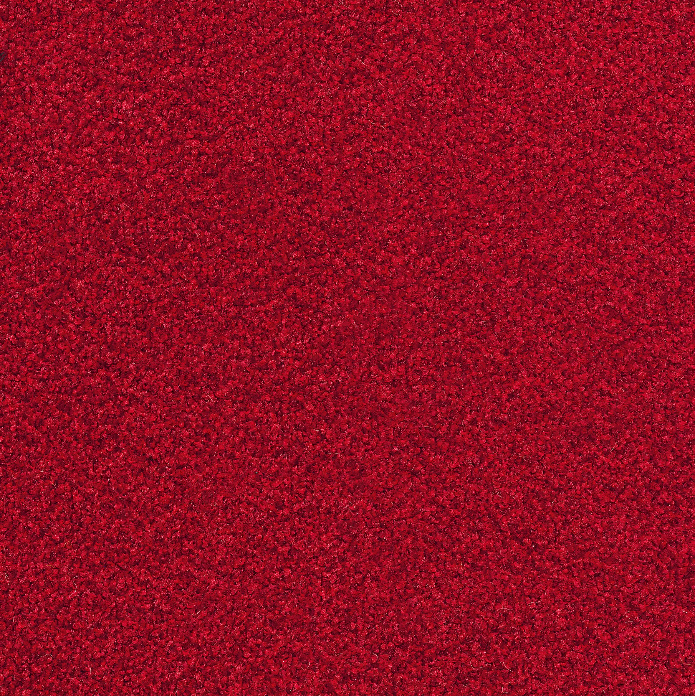 Desso by Tarkett - Torso Broadloom
