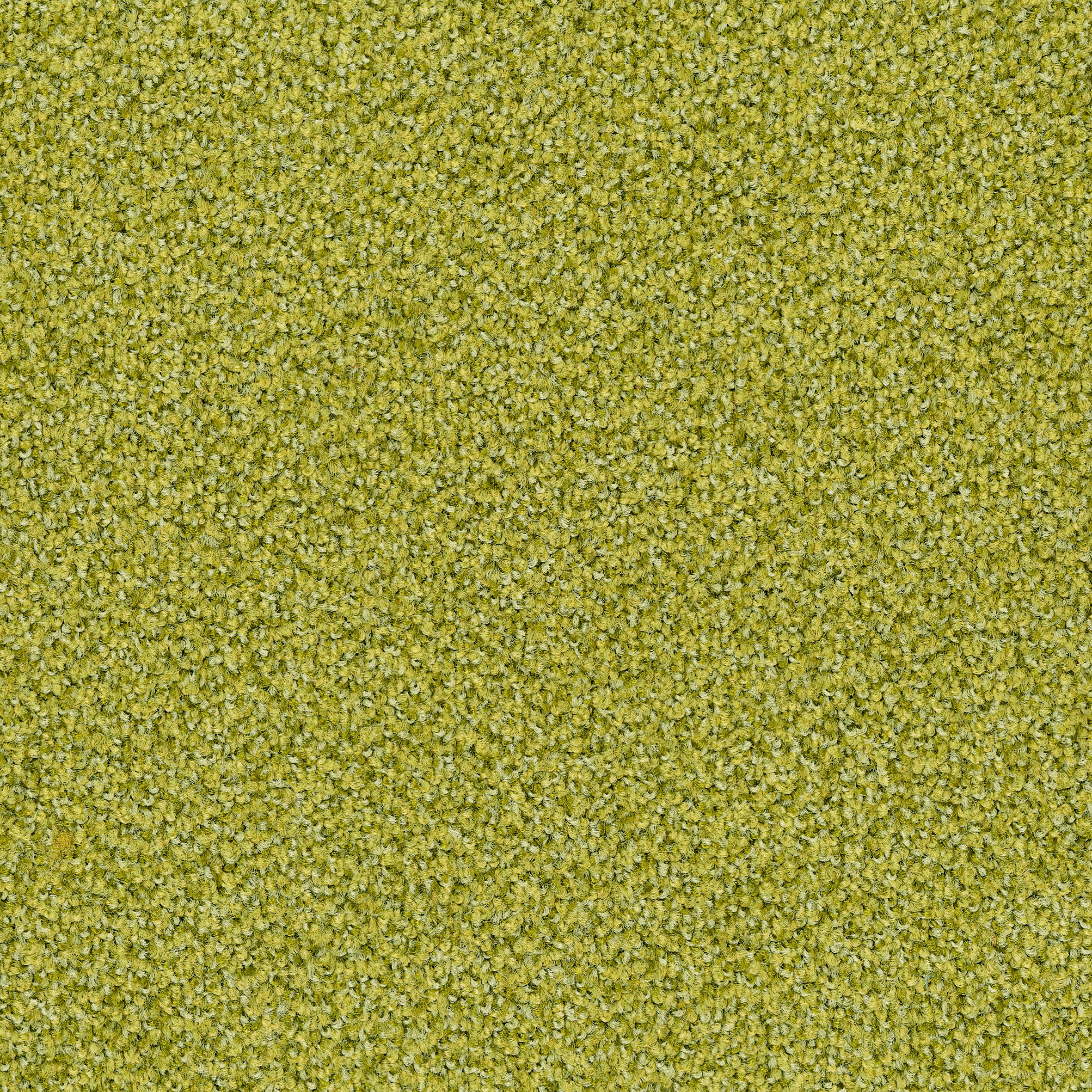 Torso Broadloom