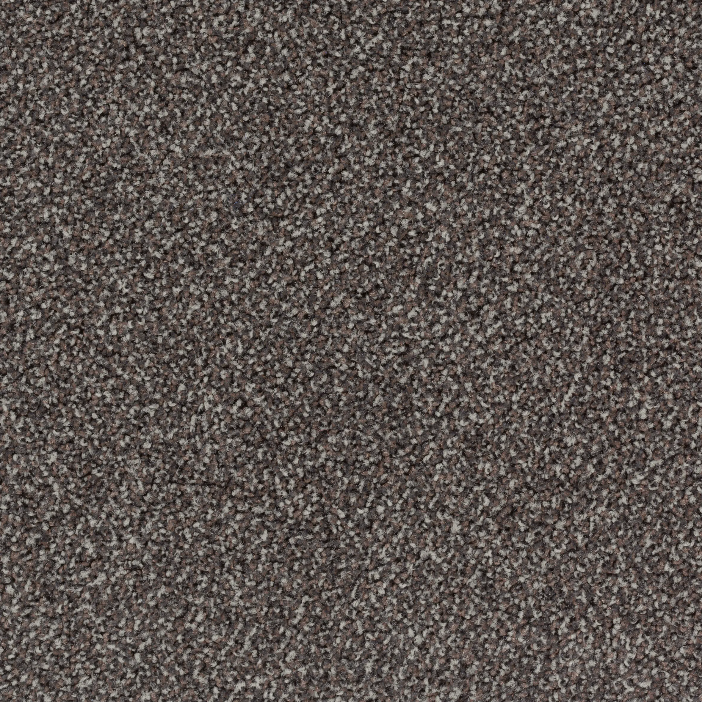 Desso by Tarkett - Torso Broadloom