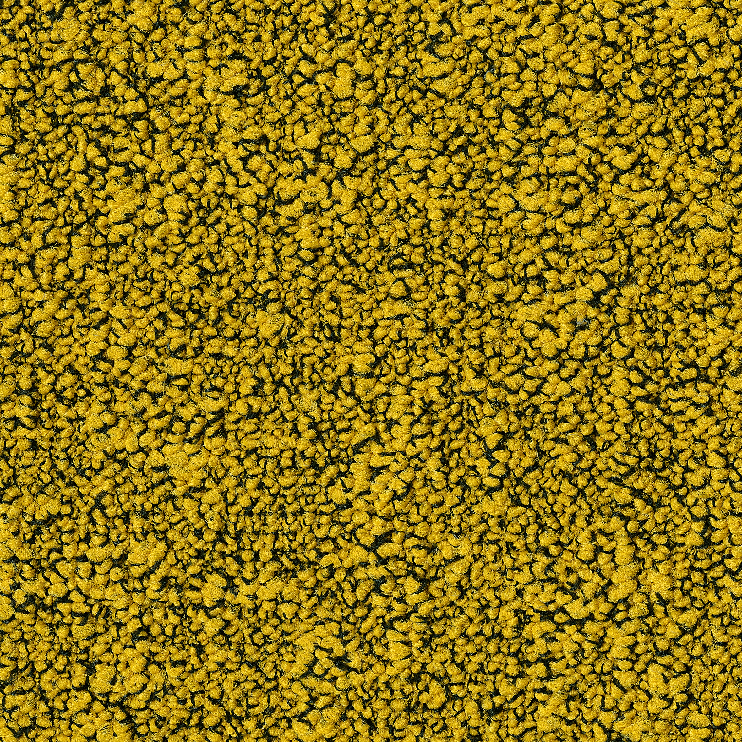 Fields