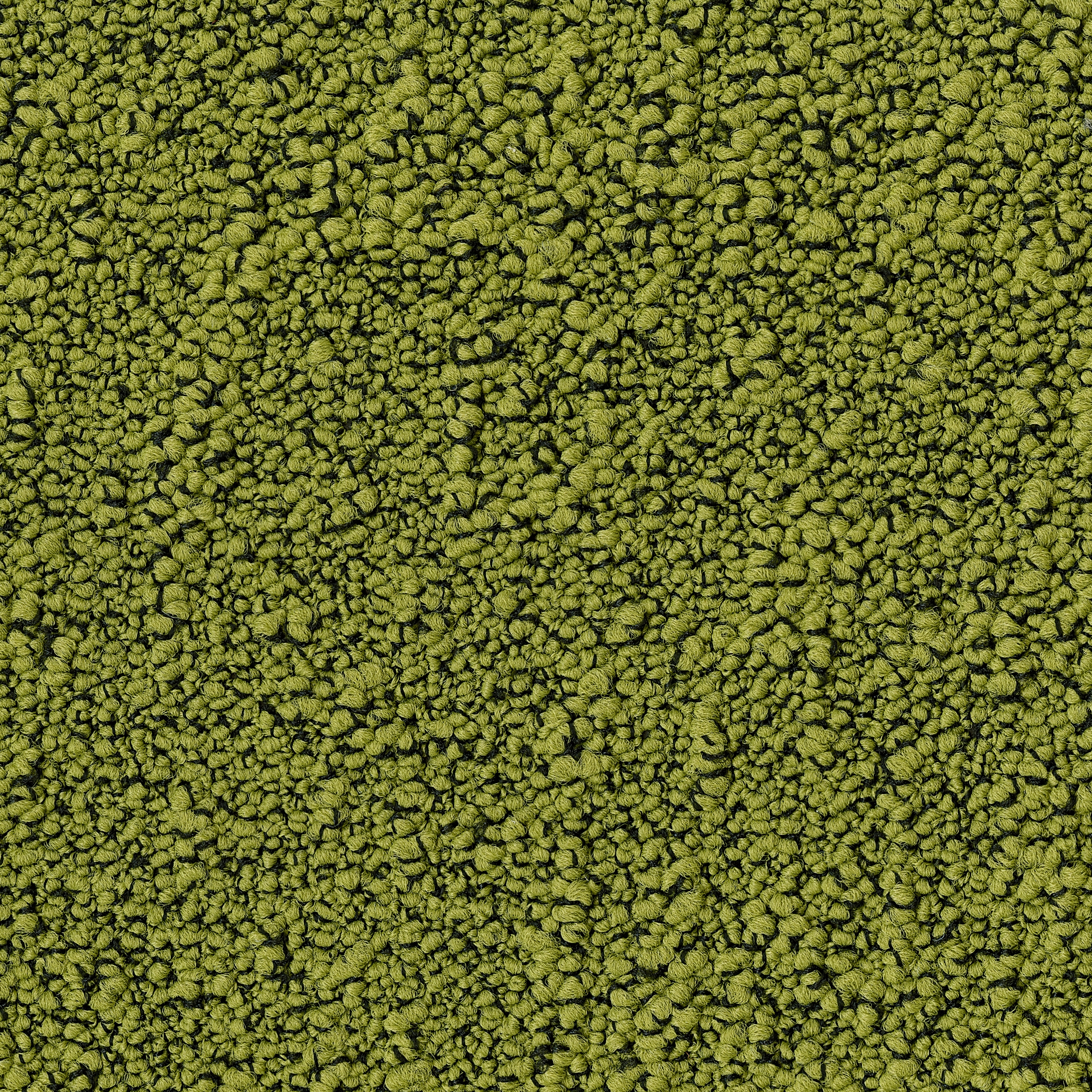 Fields