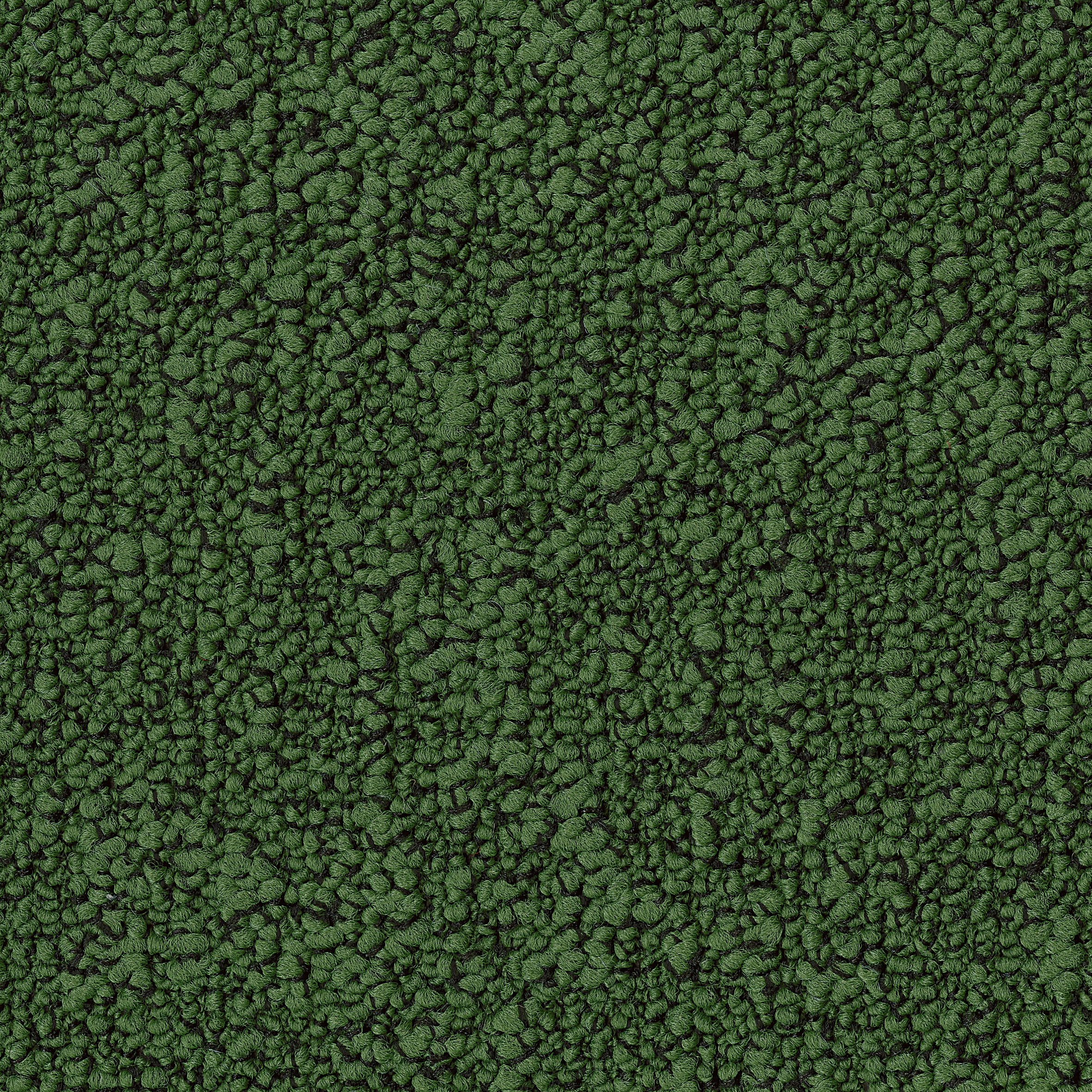 Fields