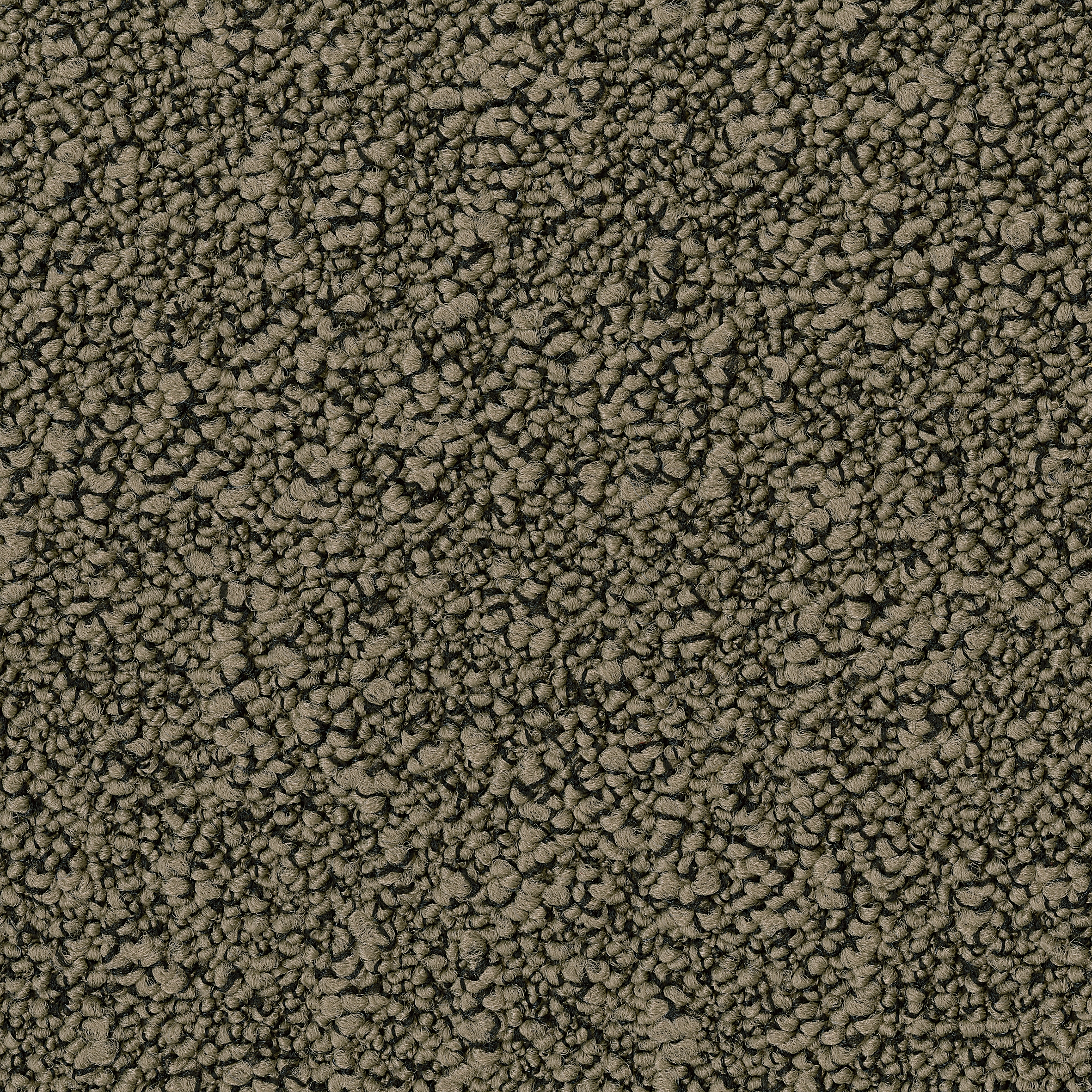 Fields
