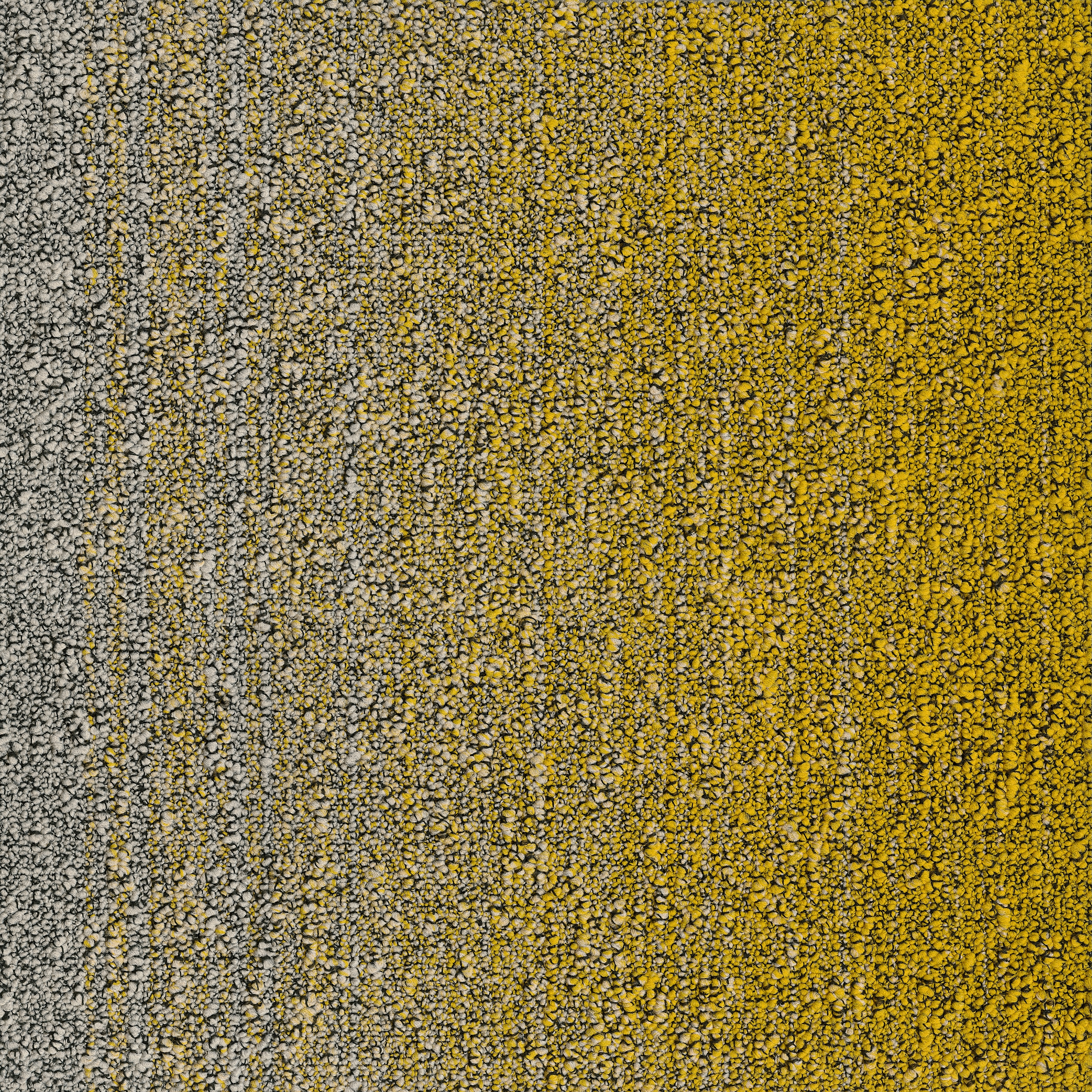 Fuse Create