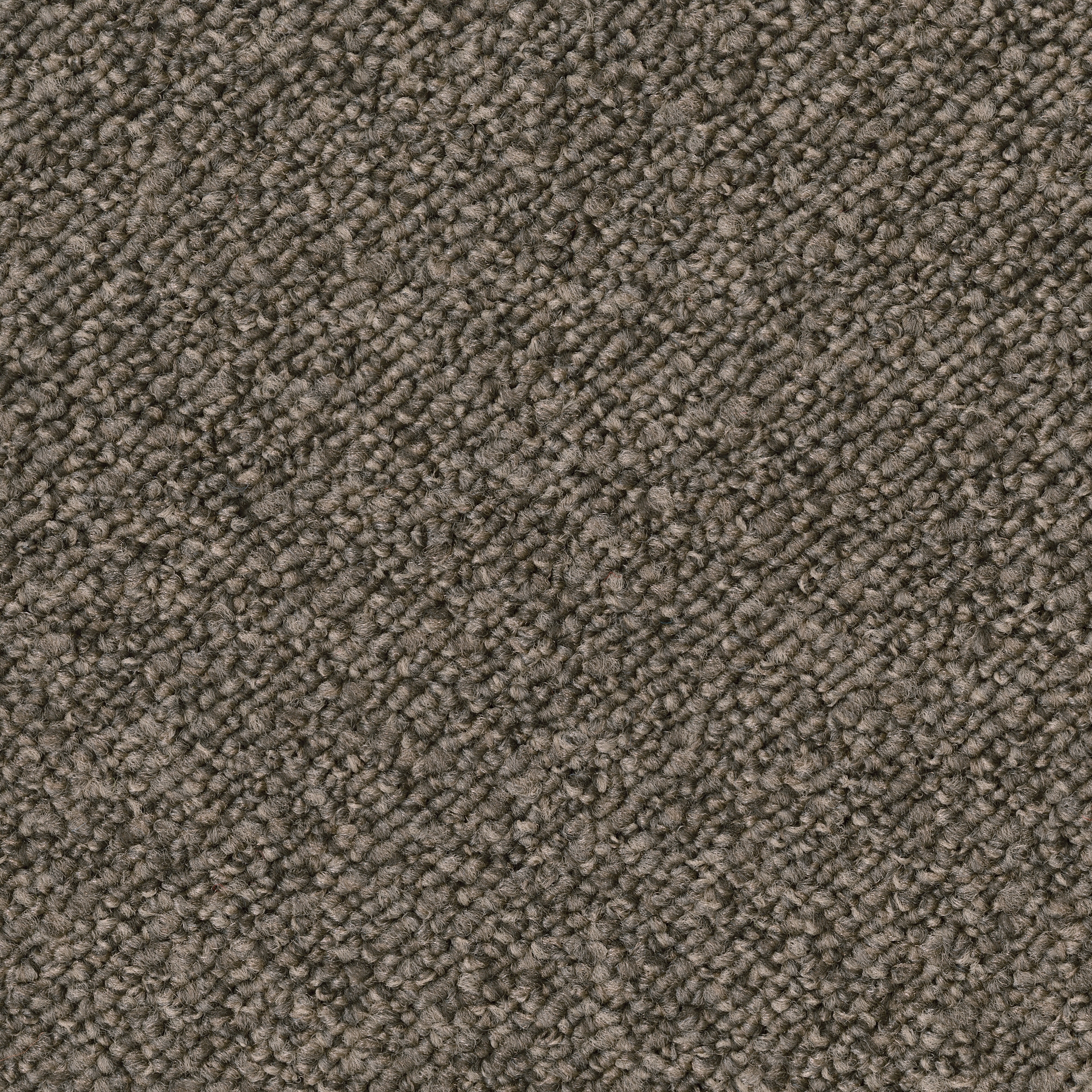 Rock