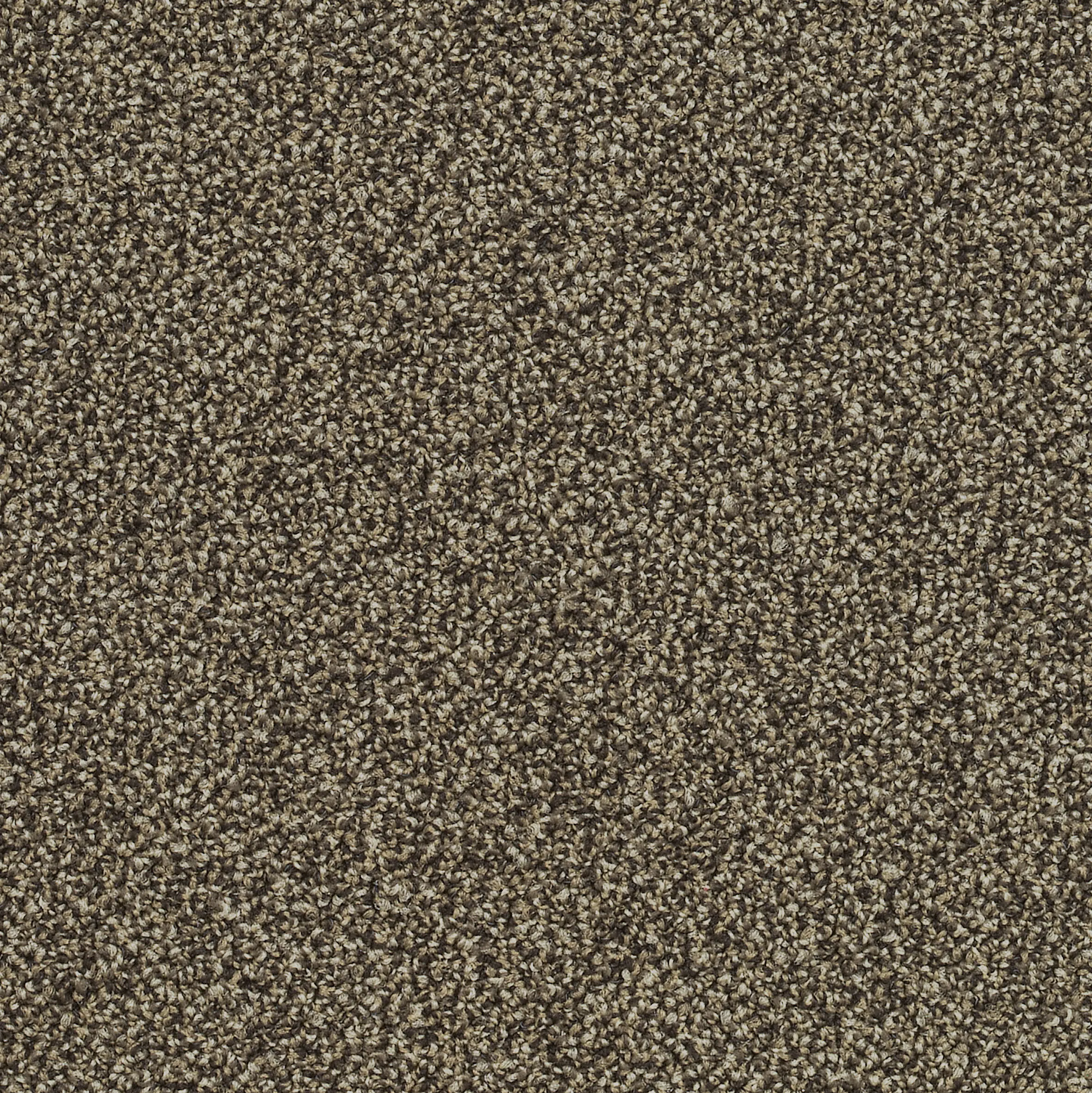 Desso by Tarkett - Sand