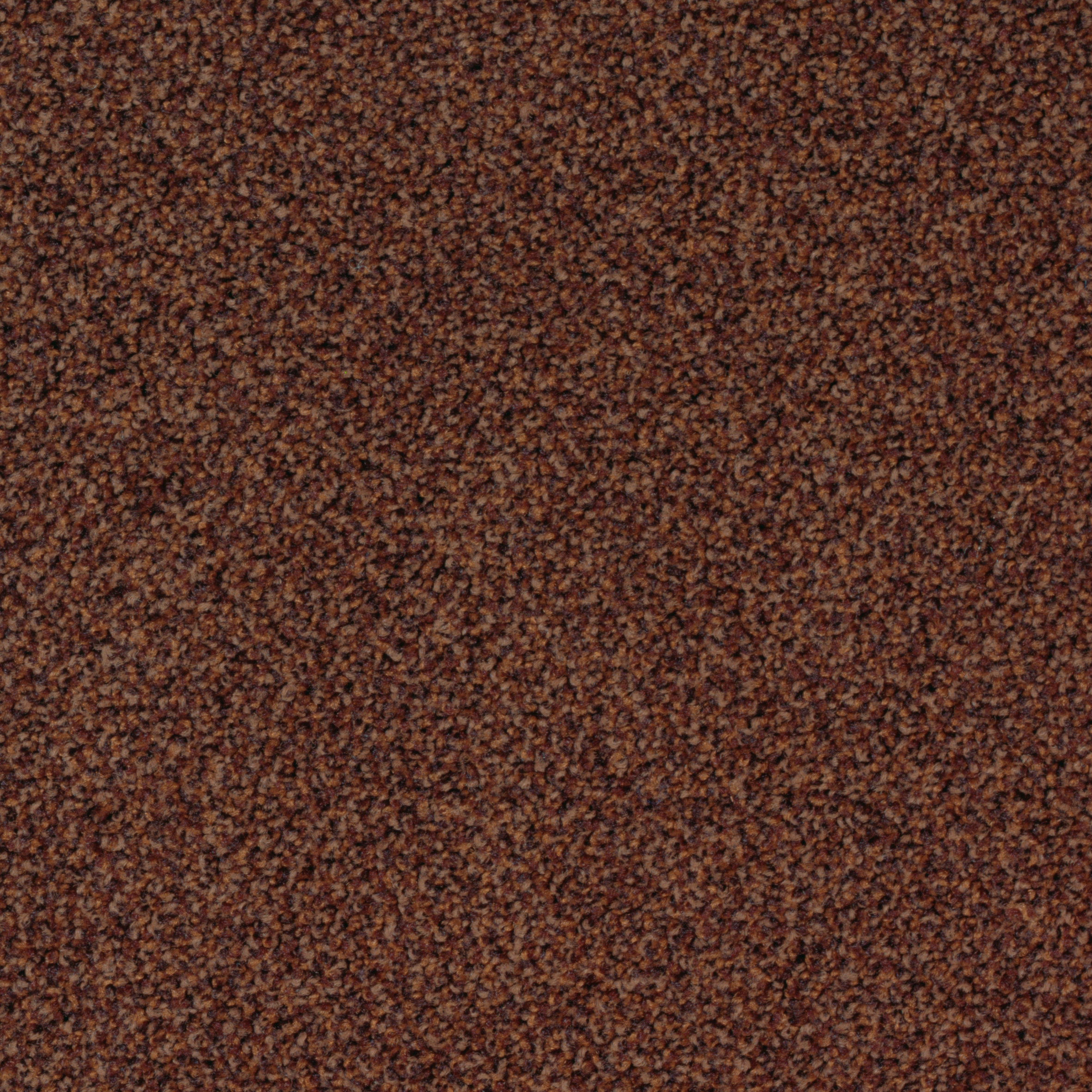 Torso Tiles